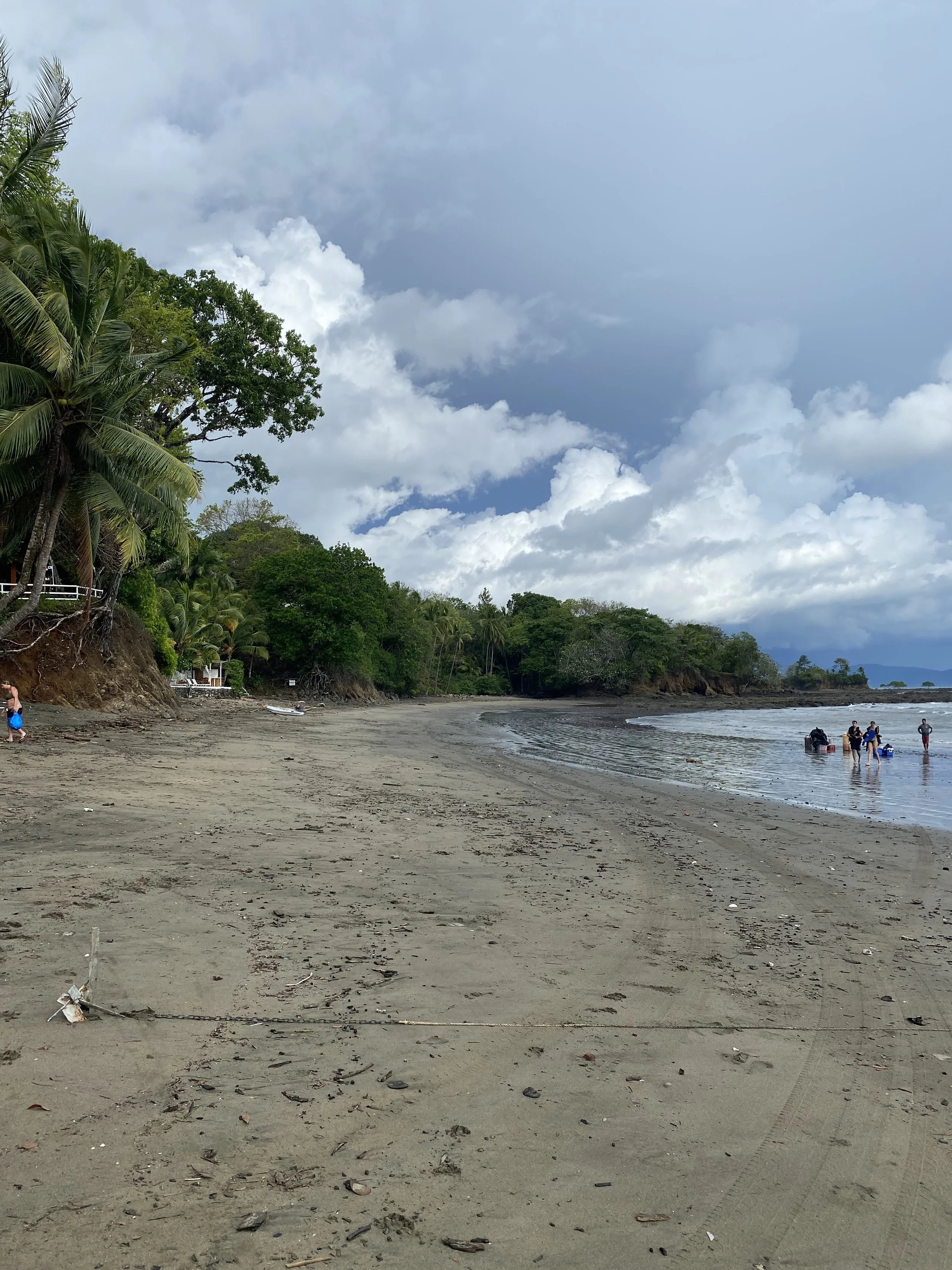 Beach in Santa Catalina