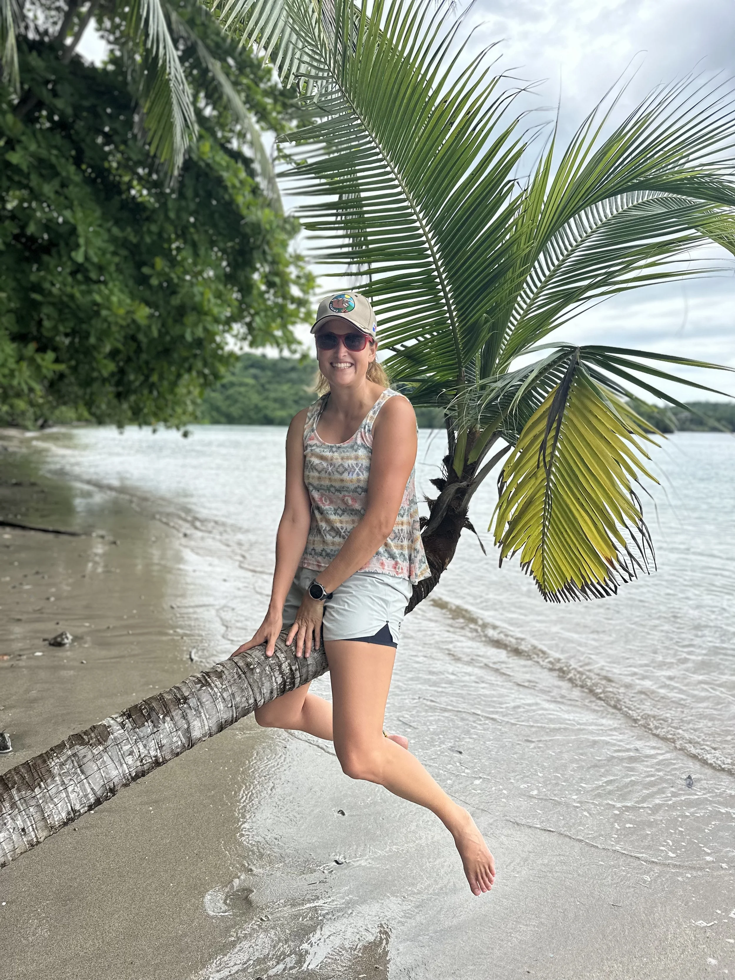 Hanging out on the palm tree