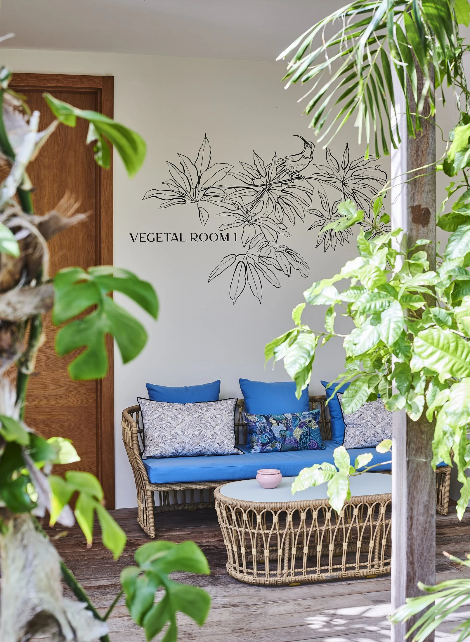 TROPICAL ST BARTH  COPYRIRGYT OBLIGATOIRE  DIDIER DEMAS_084.jpg