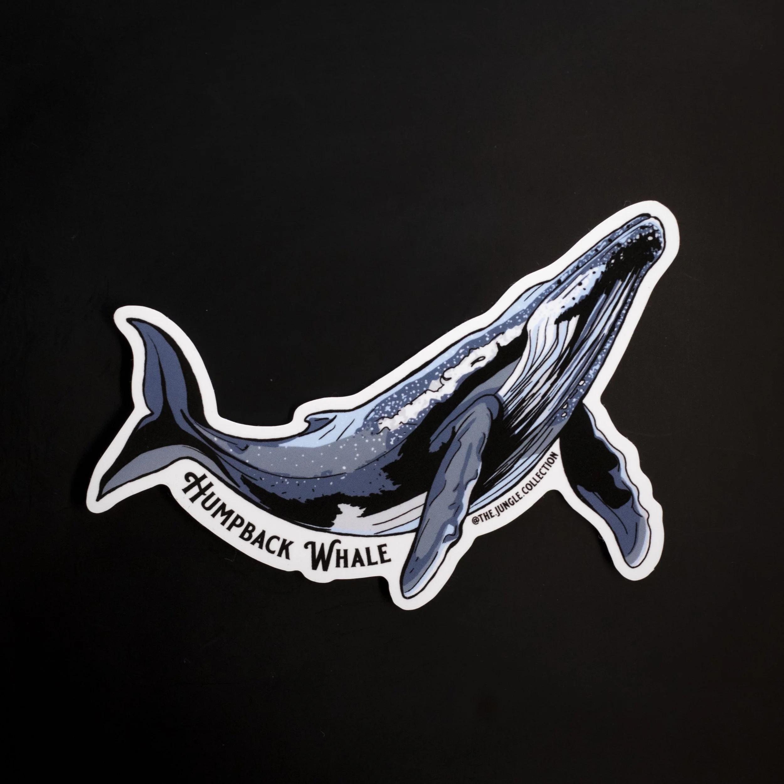 Humpback Whale Sticker
