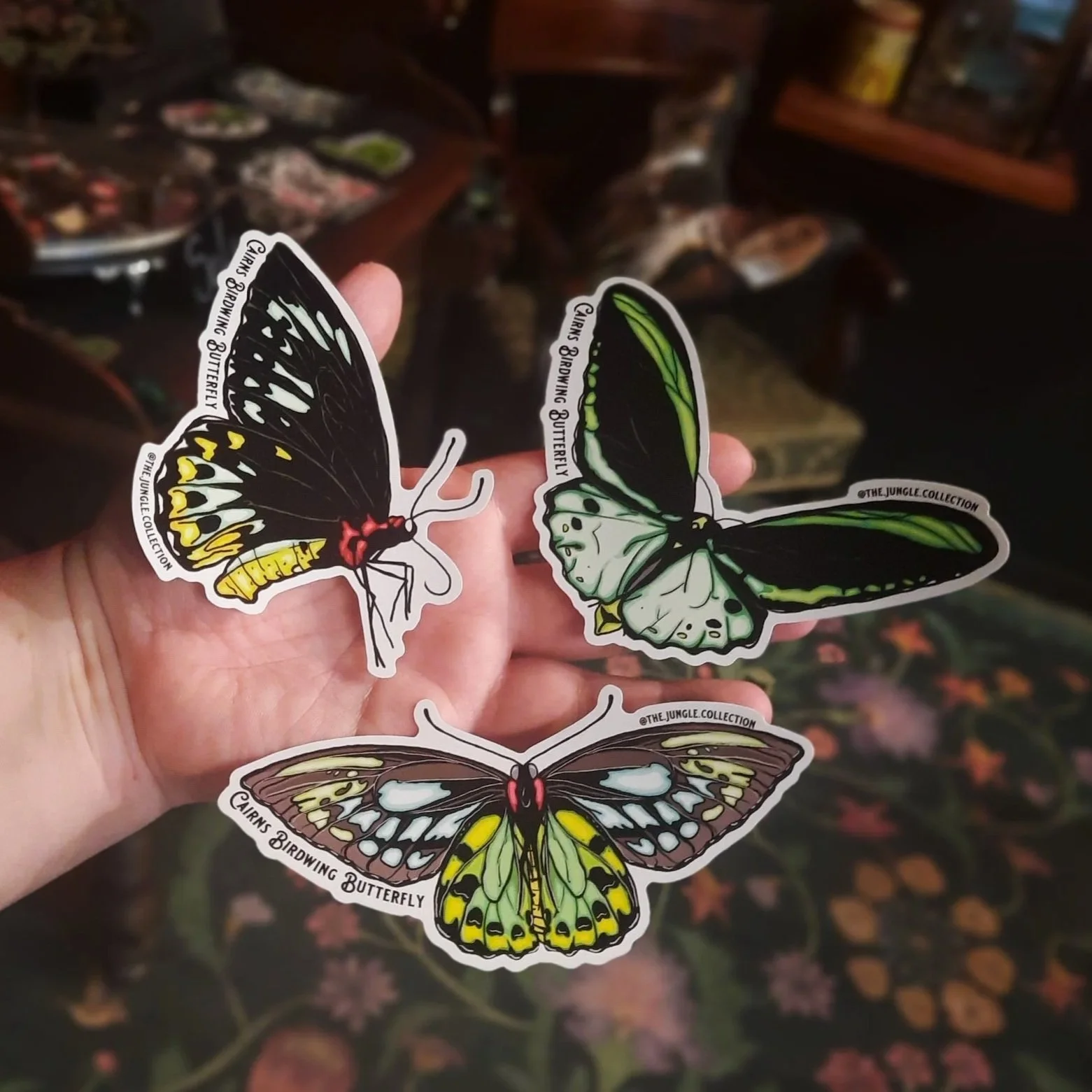 20260217_101532.jpg (Copy) (Copy)