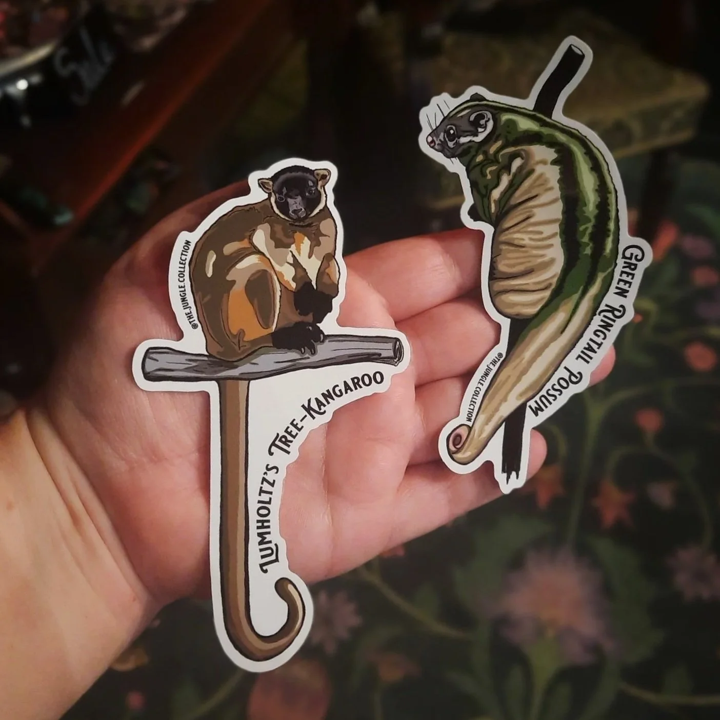 20260217_101831.jpg (Copy)