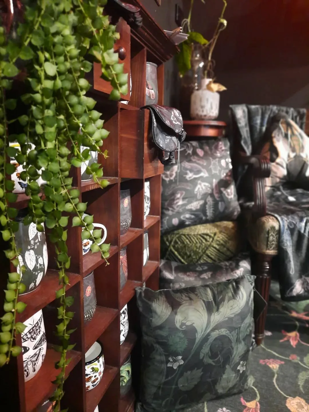 We have some beautiful soft furnishings in store at the moment, including luxurious velvet cushions &amp; plush blankets. 

Inspired by the wildlife of Far North Queensland, designed in Cairns by owner &amp; and artist Jenna Minchin. 

Now open 6 day