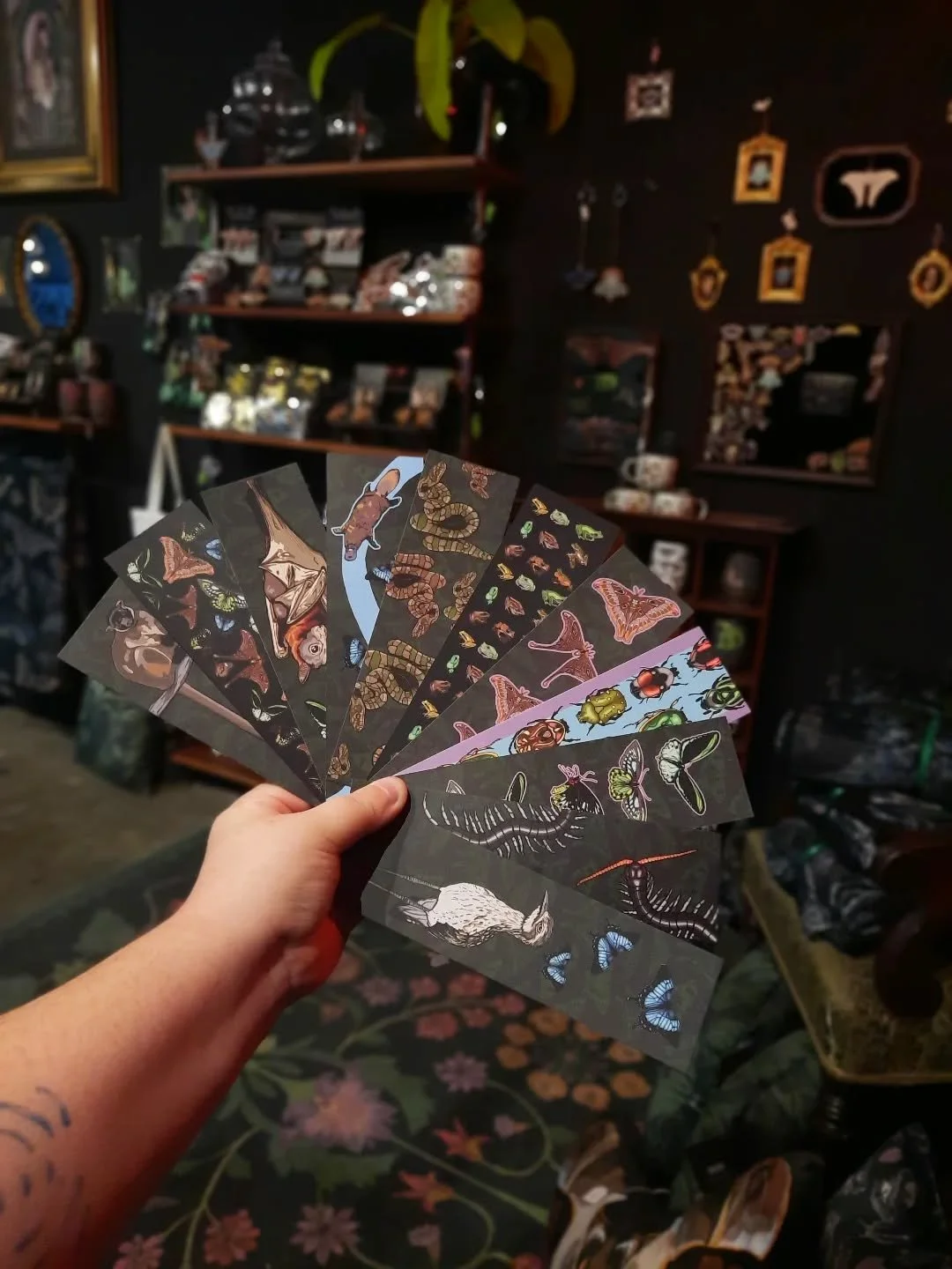 Have you seen our FSC-certified cardstock bookmarks? 

We have 11 different designs, all featuring the unique wildlife of Far North Queensland.
Original artwork by owner Jenna.

After you've grabbed yourself a new book from our neighbours at Pearl's 