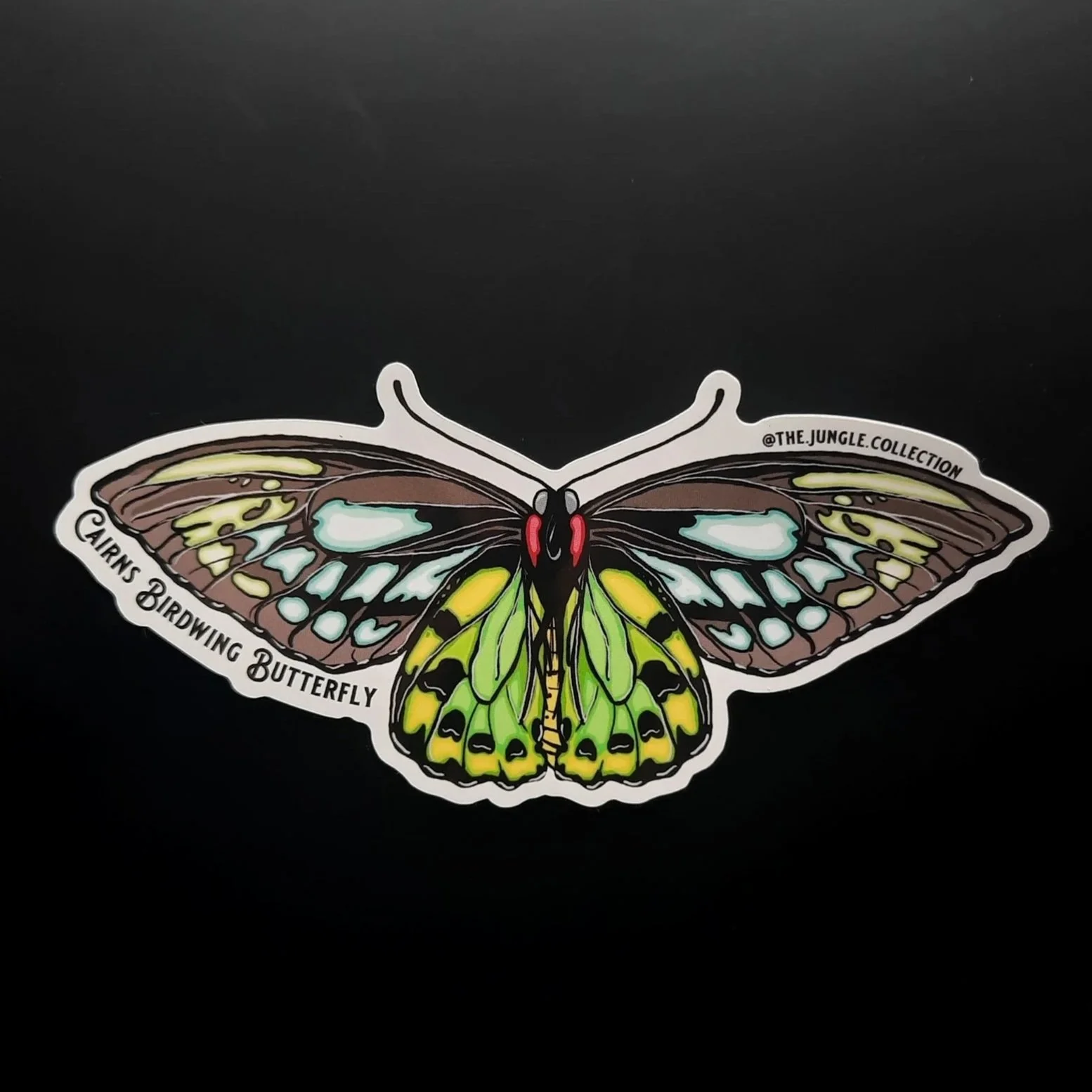 Cairns Birdwing Butterfly Sticker - Underwing