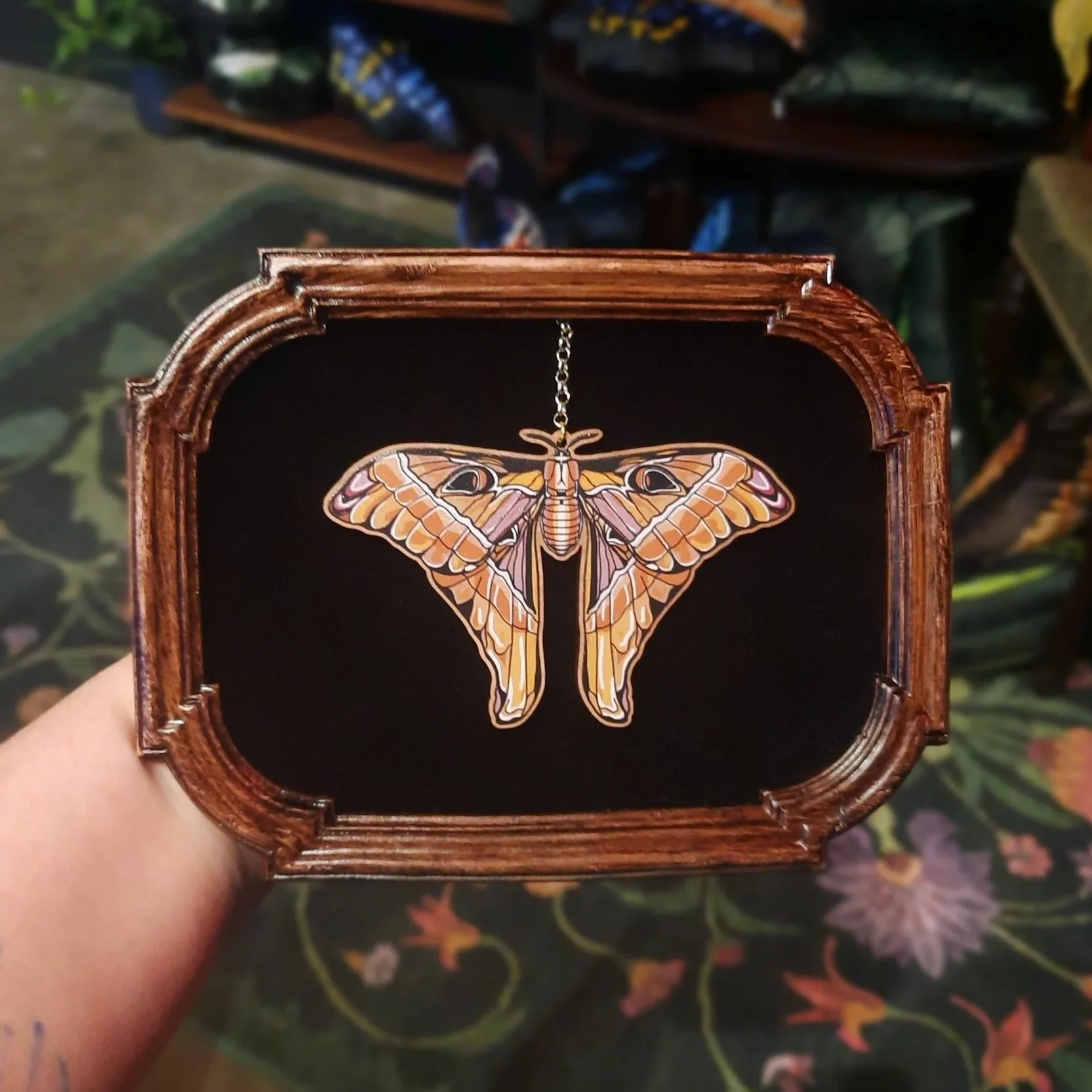 Faux Entomology Hercules Moth