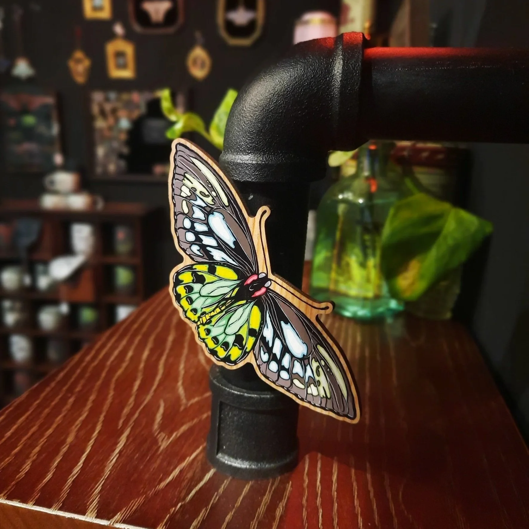 Cairns Birdwing Butterfly Wooden Magnet - Underwing