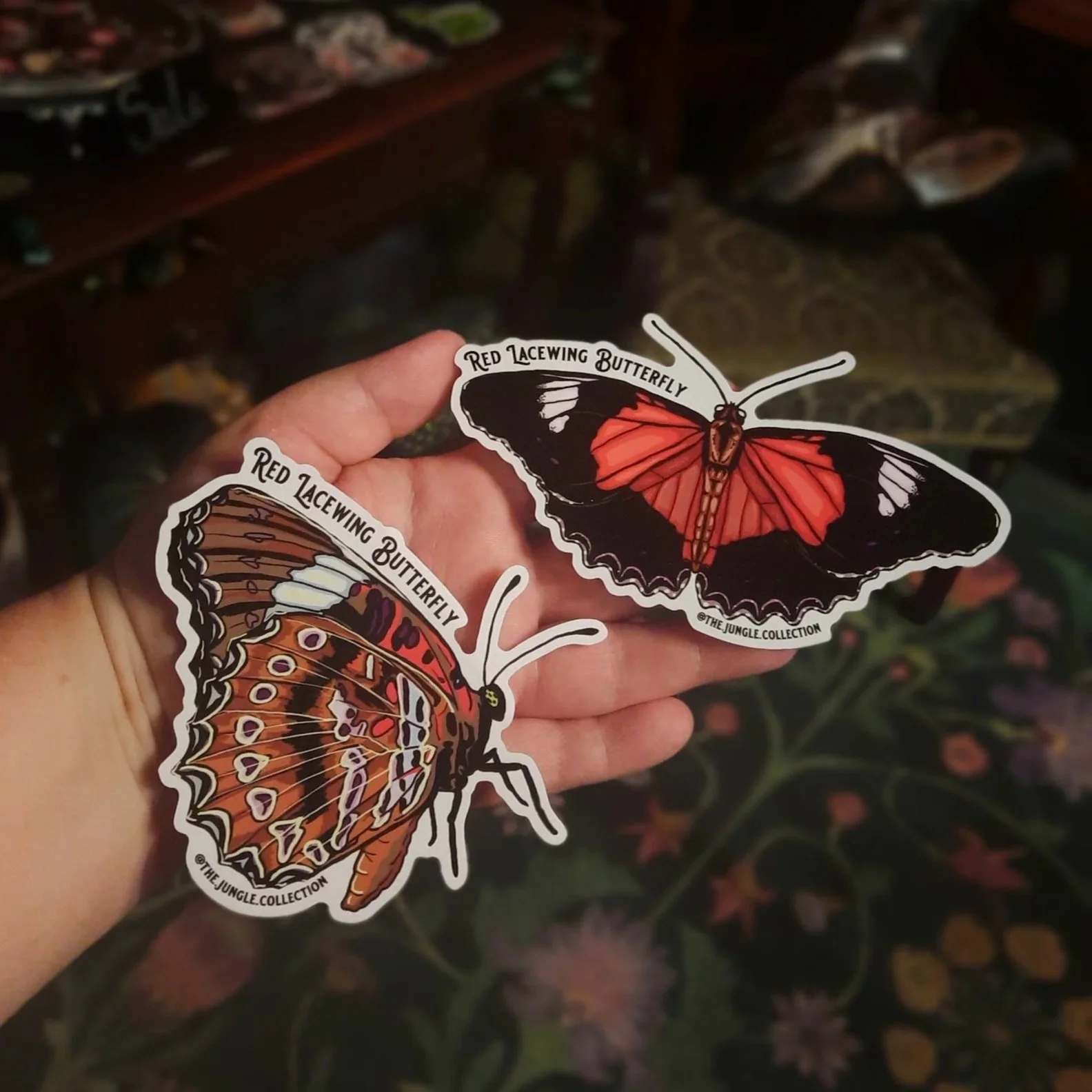 20260217_101630.jpg (Copy)