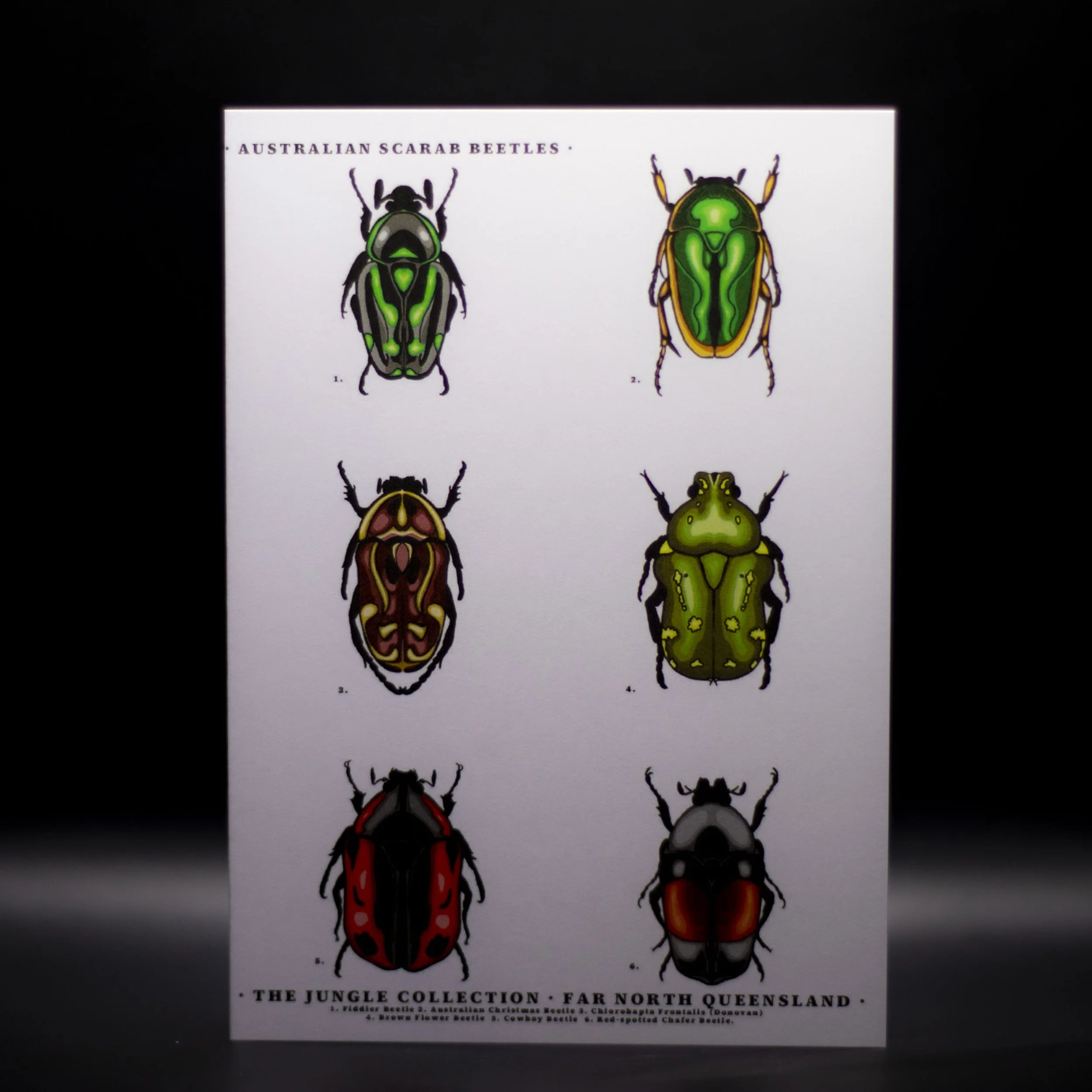 'Australian Scarab Beetles' Greeting Card