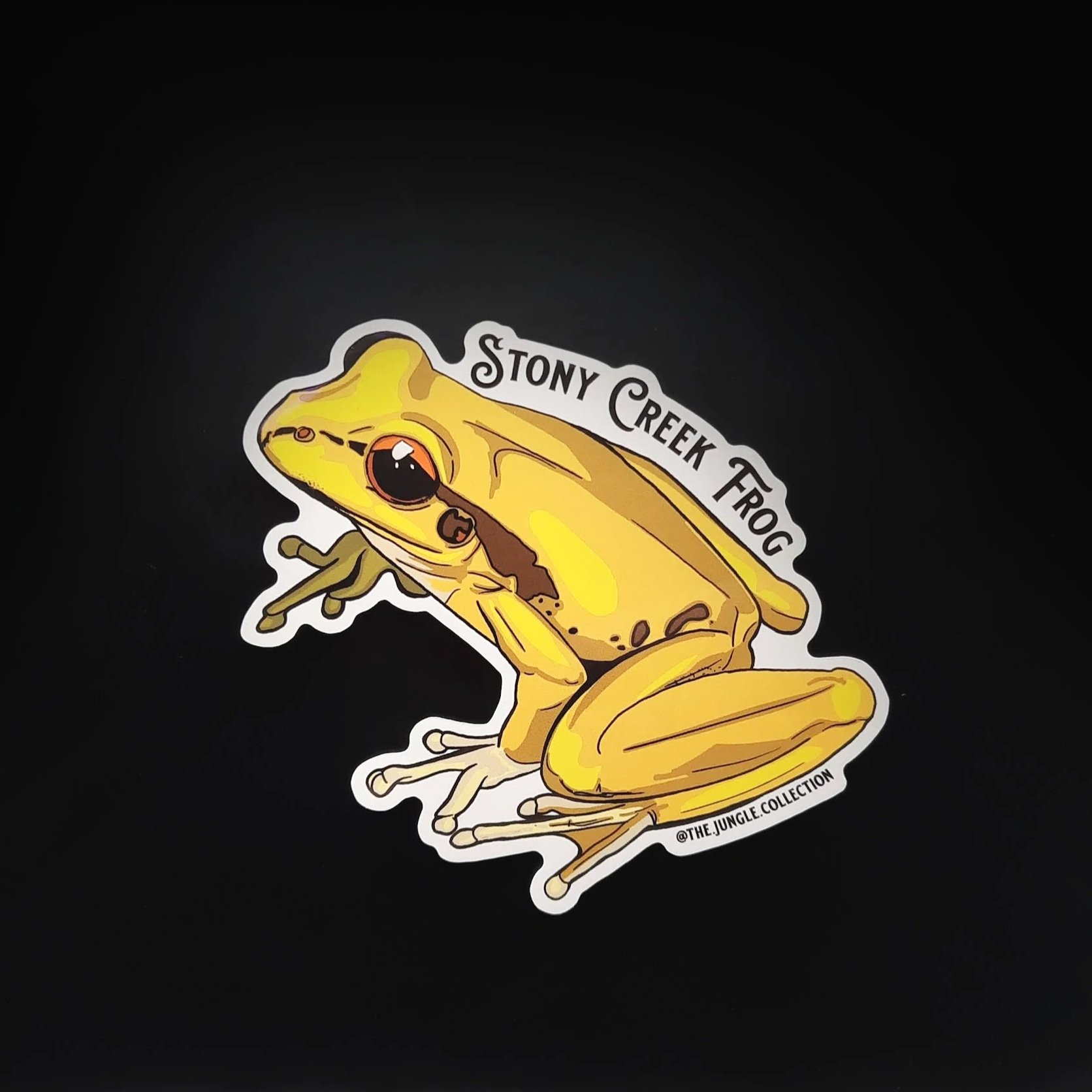 Stony Creek Frog Sticker