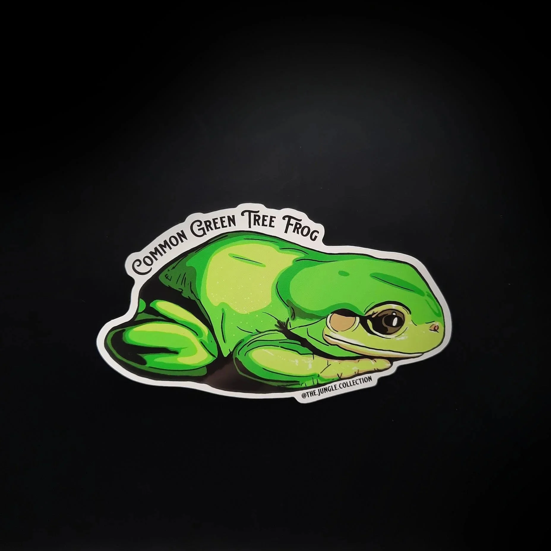 Common Green Tree Frog Sticker