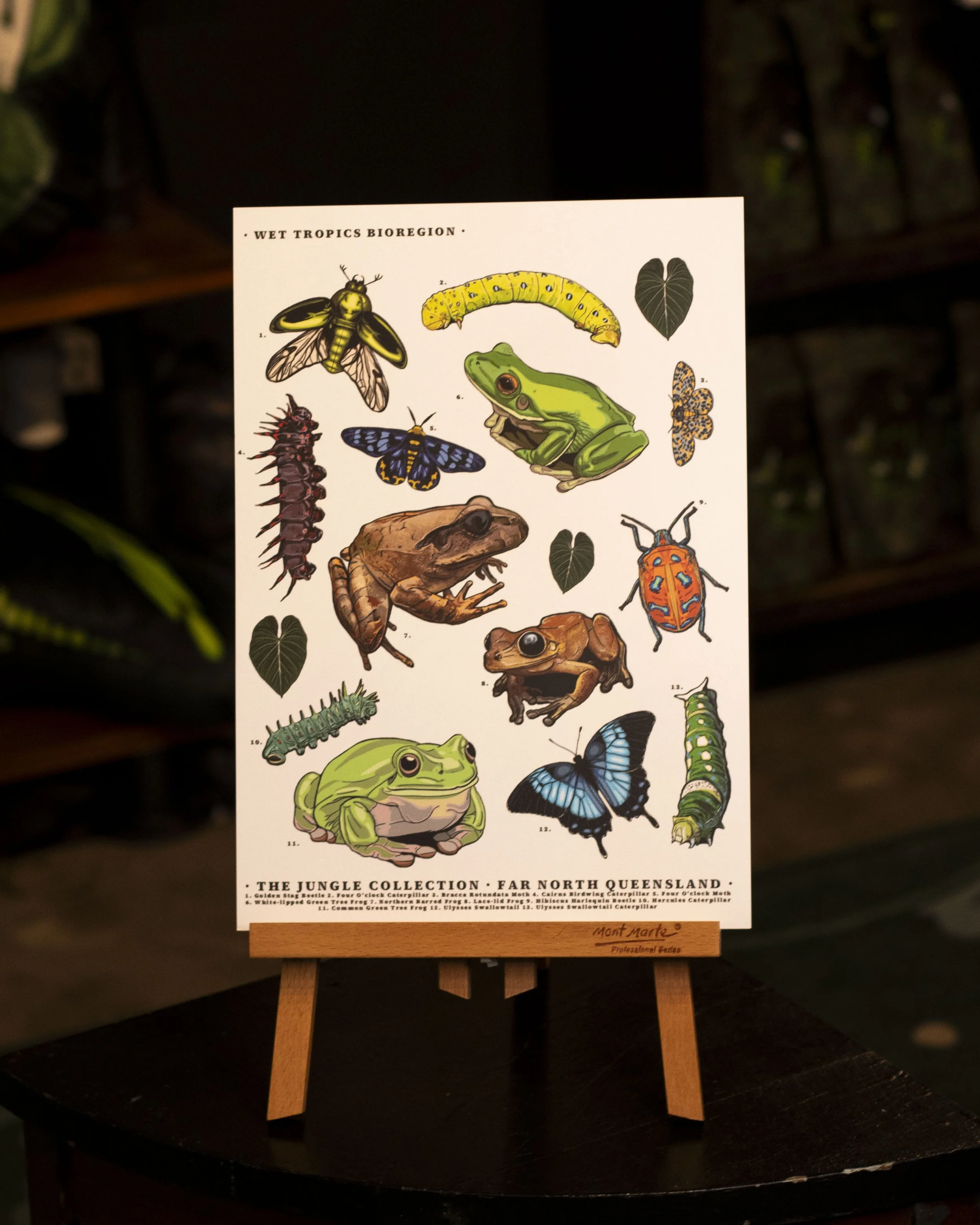 'Frogs & Bugs' Art Print (A4)