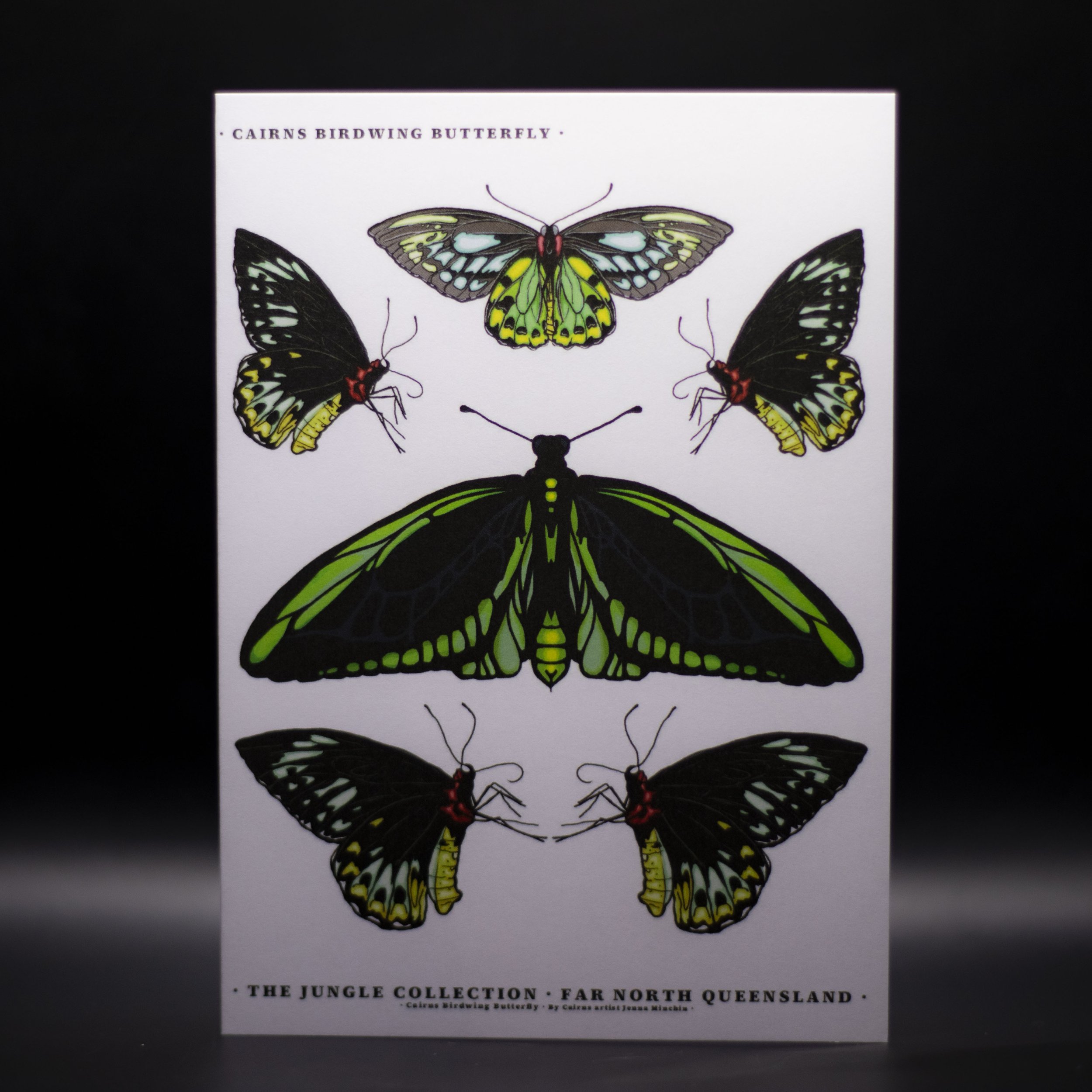 'Cairns Birdwing Butterfly' Greeting Card