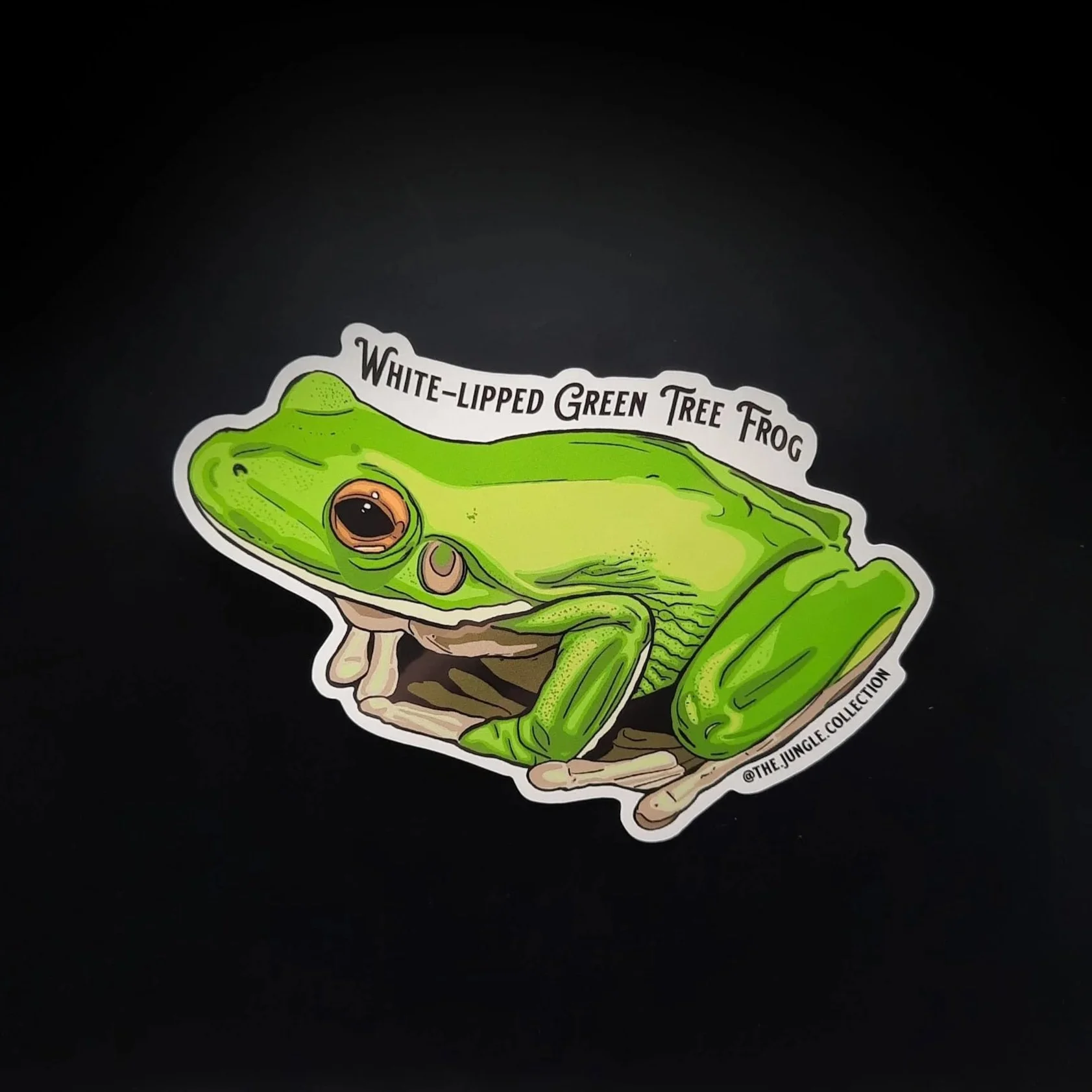 White-lipped Green Tree Frog Sticker - Re-design