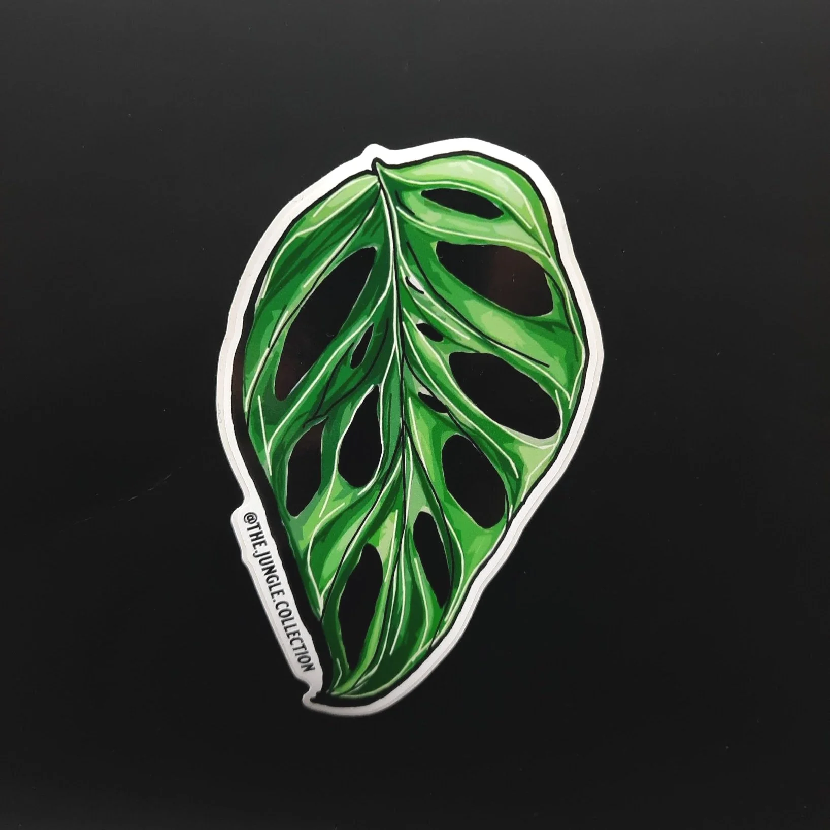 "Monstera Adansonii" Sticker