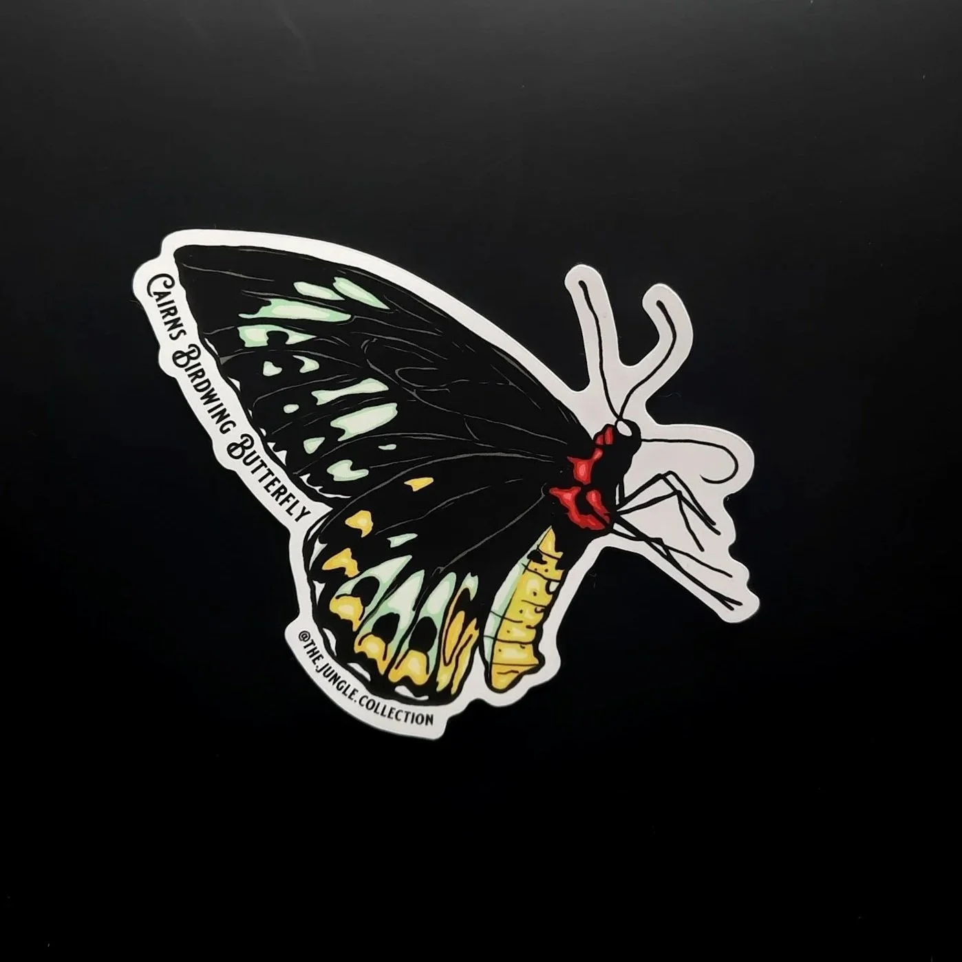 Cairns Birdwing Butterfly Sticker - Female