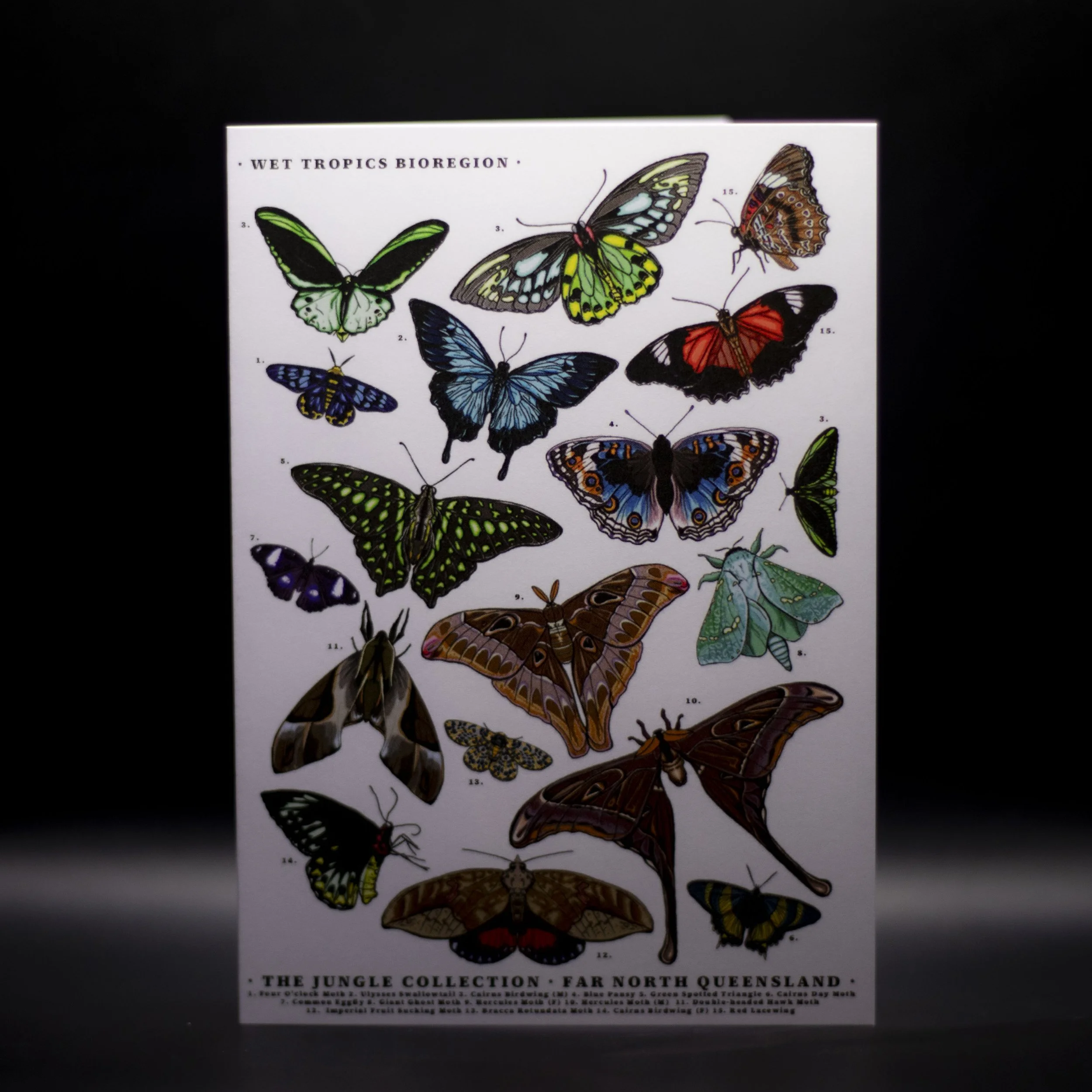 'Lepidoptera Lovers' Greeting Card