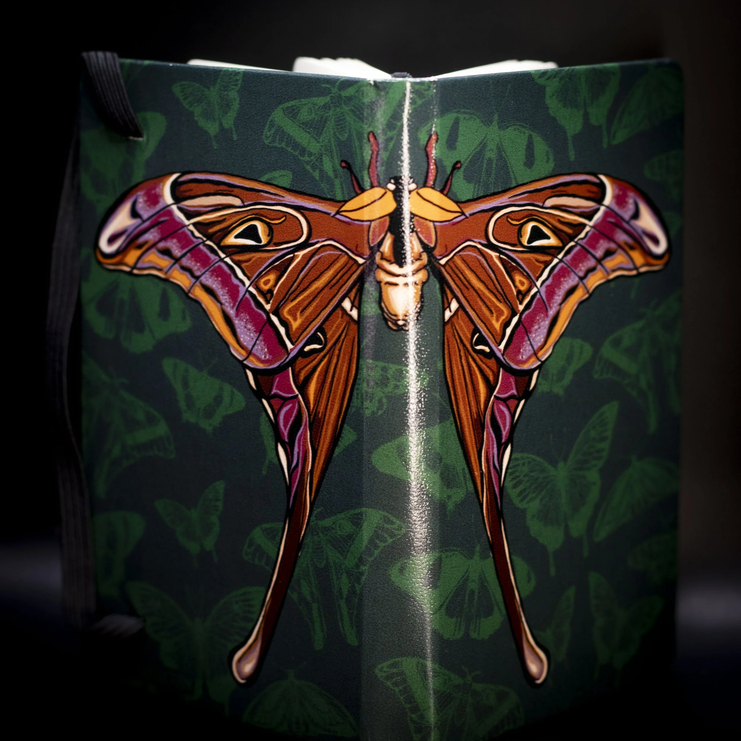 'Hercules Moth' Notebook (A6) - Male
