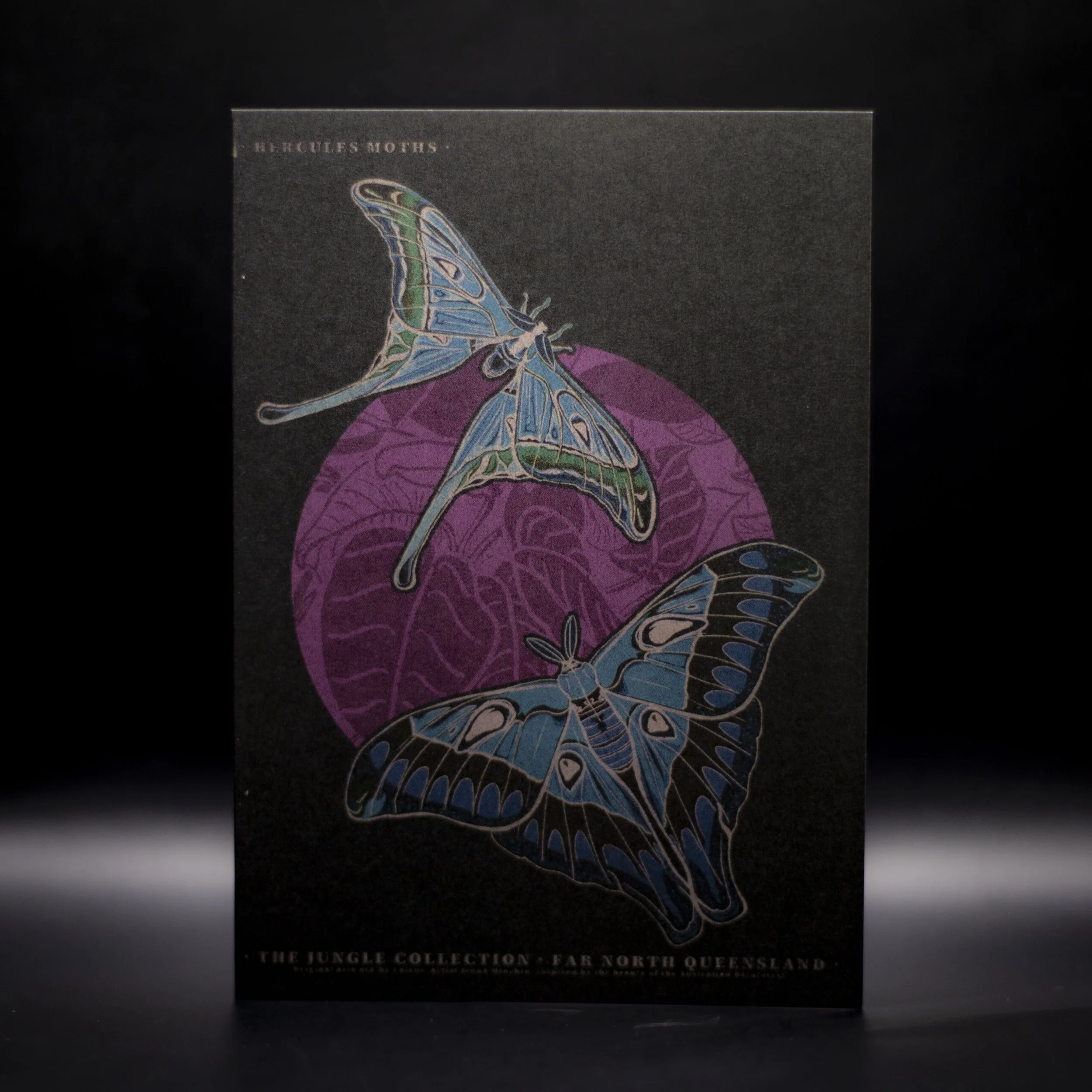 'Hercules Moths - Dark' Greeting Card