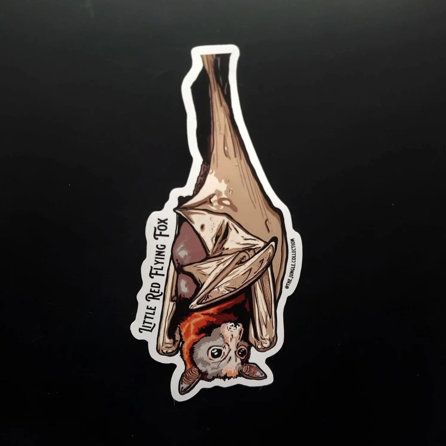 Little Red Flying Fox Sticker