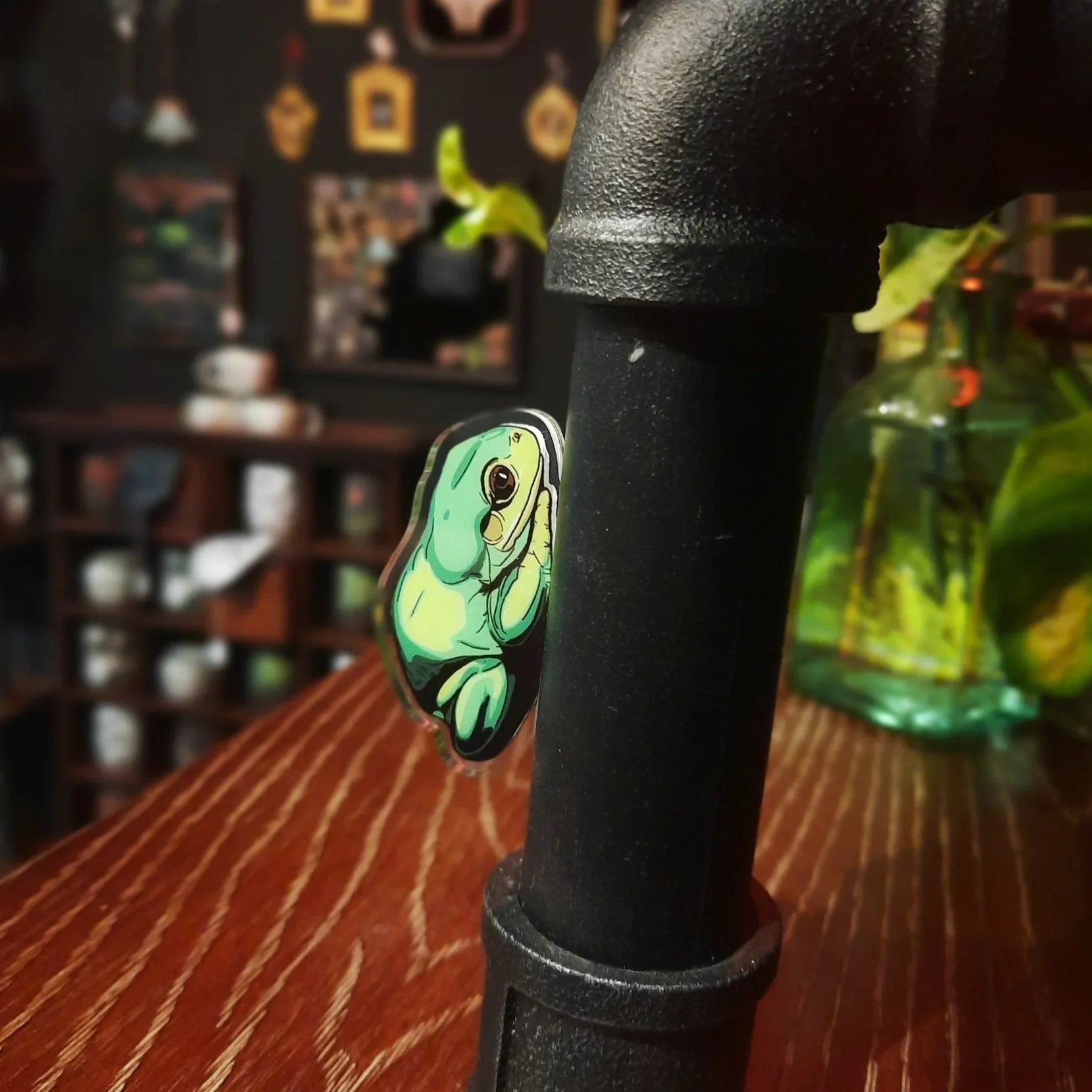 Common Green Tree Frog Acrylic Standing Magnet