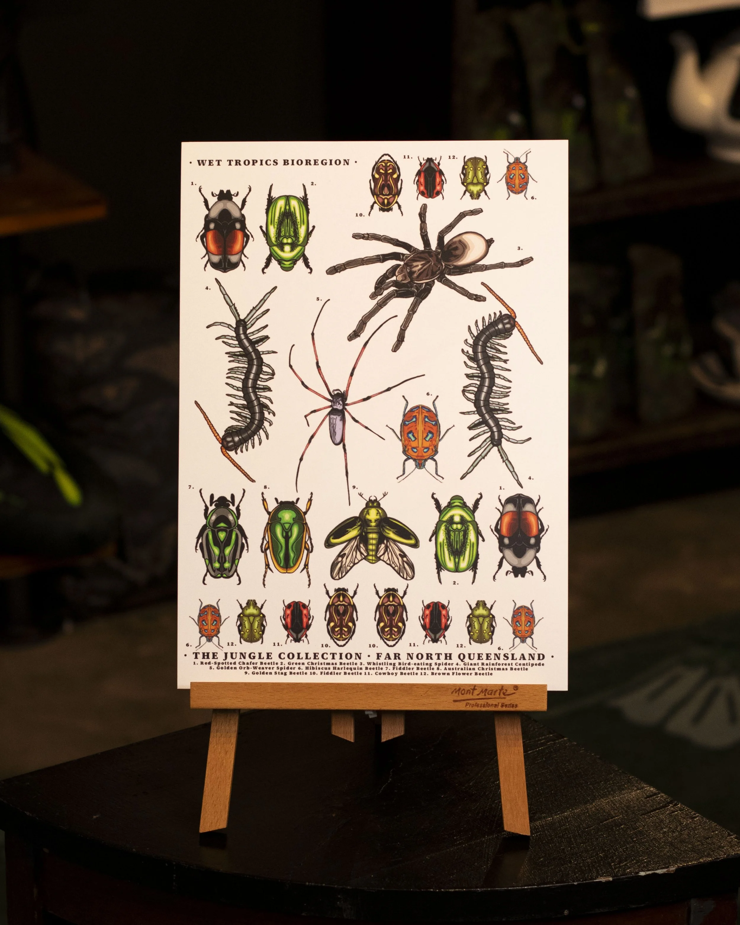 'Entomology' Art Print (A4)