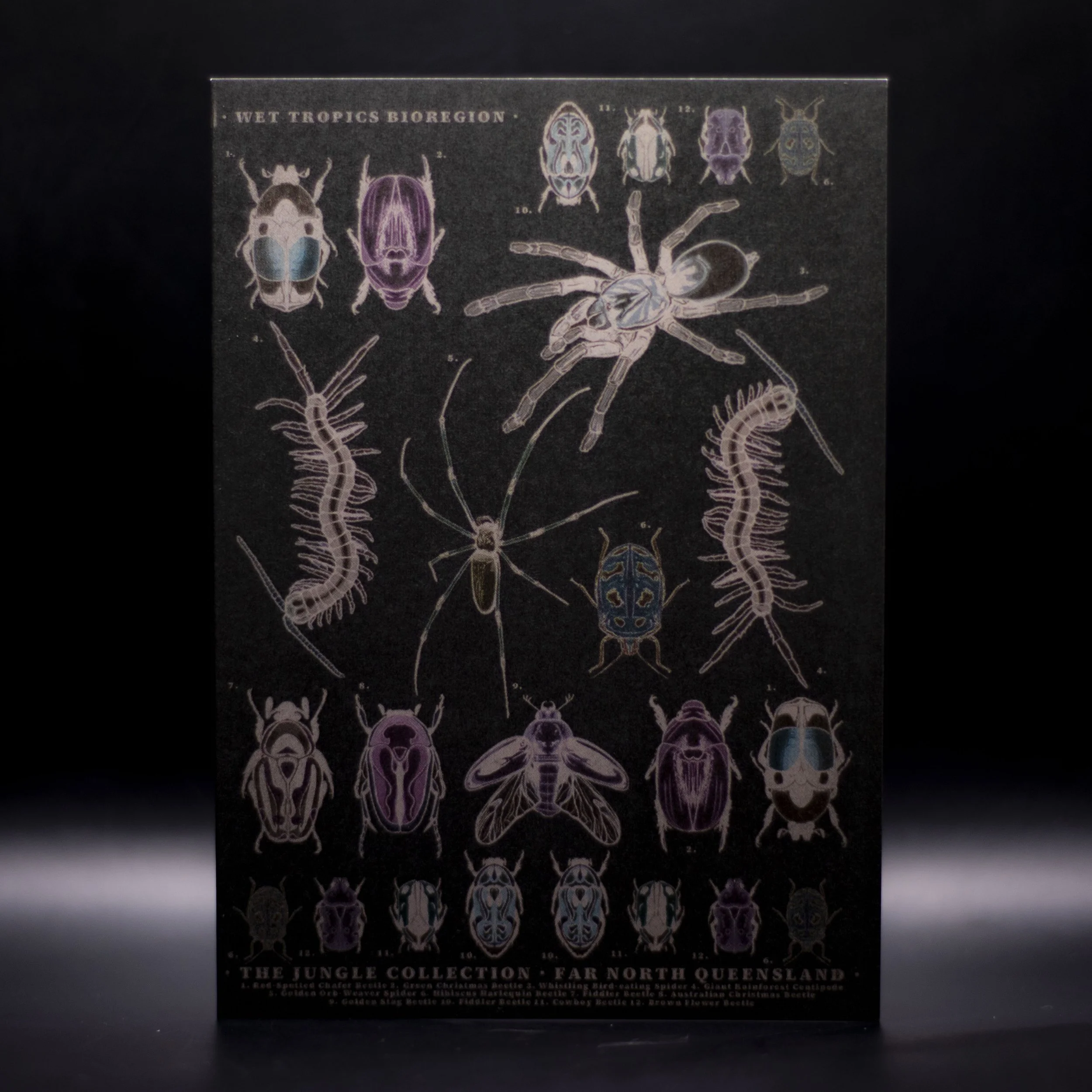 'Entomology Dark' Greeting Card