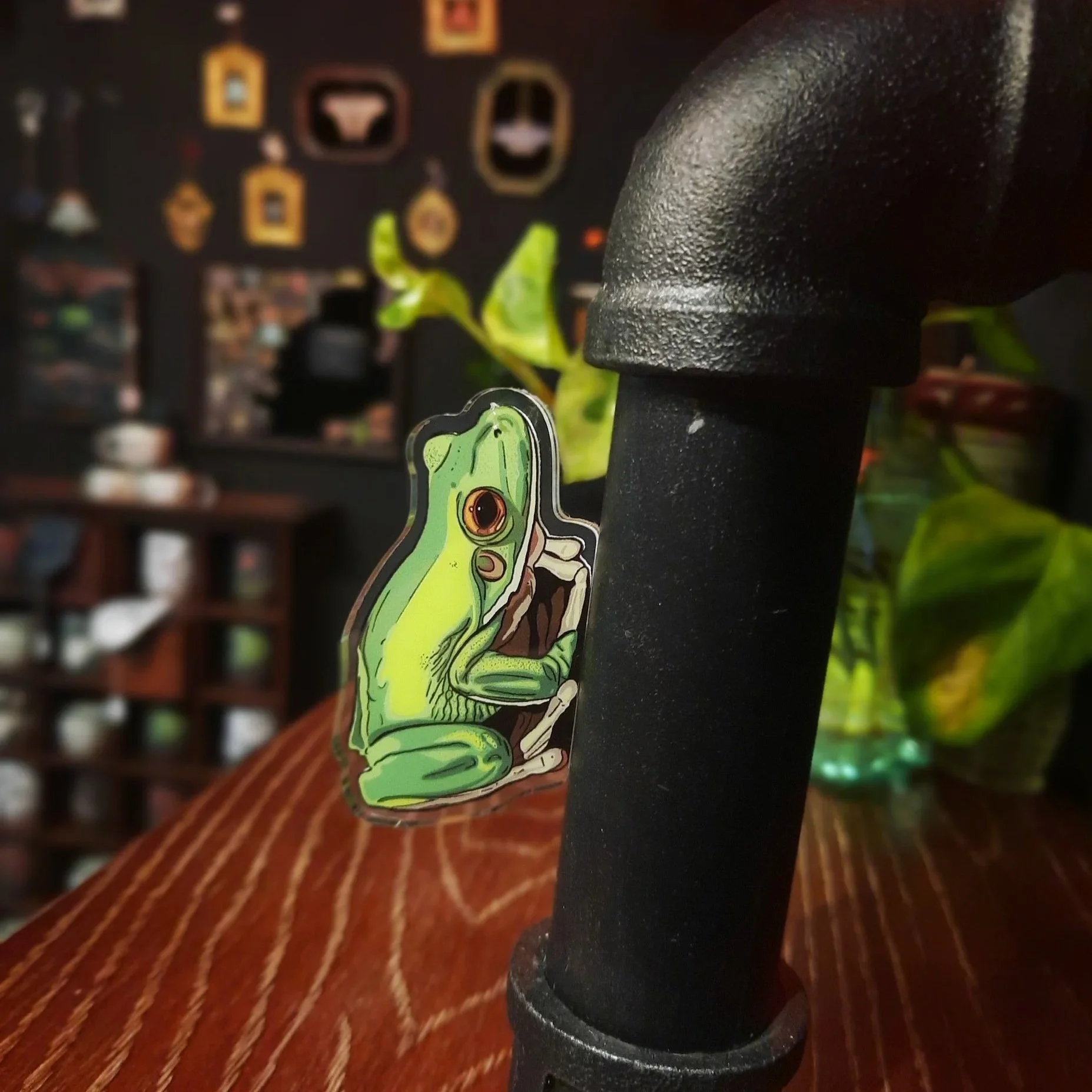 White-lipped Green Tree Frog Acrylic Standing Magnet - Re-design