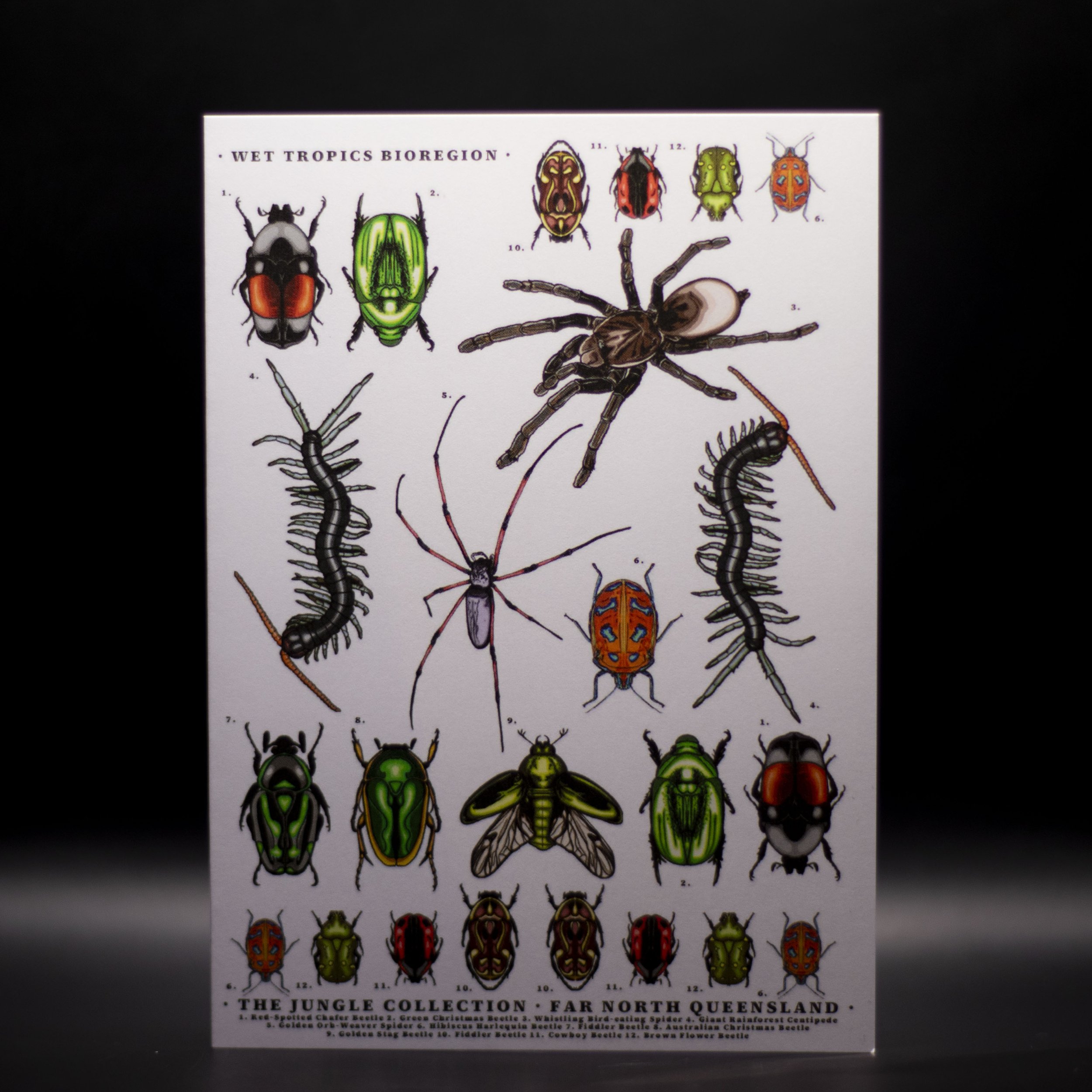 'Entomology' Greeting Card