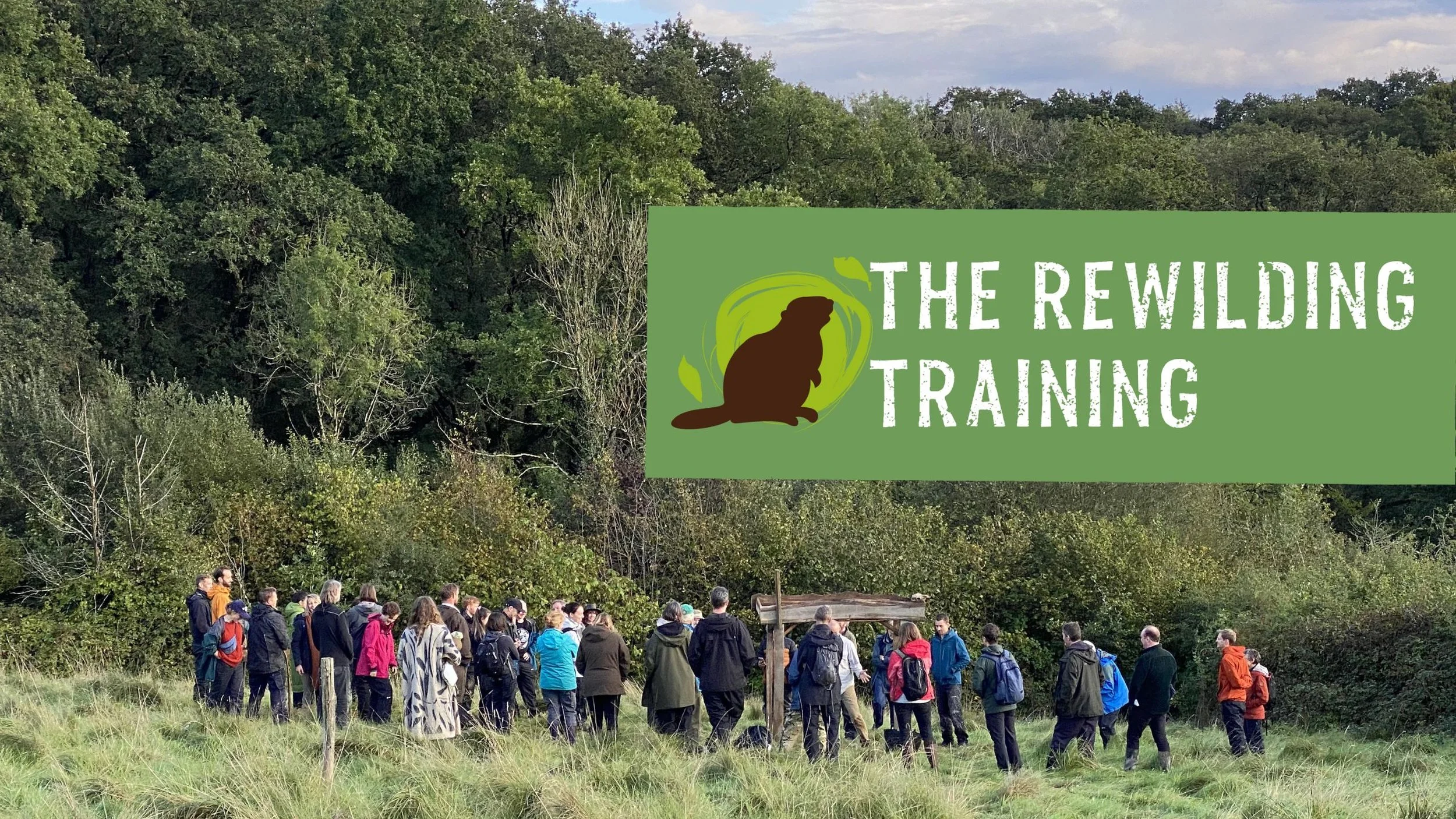 Rewilding Project THE REWILDING TRAINING — Embercombe