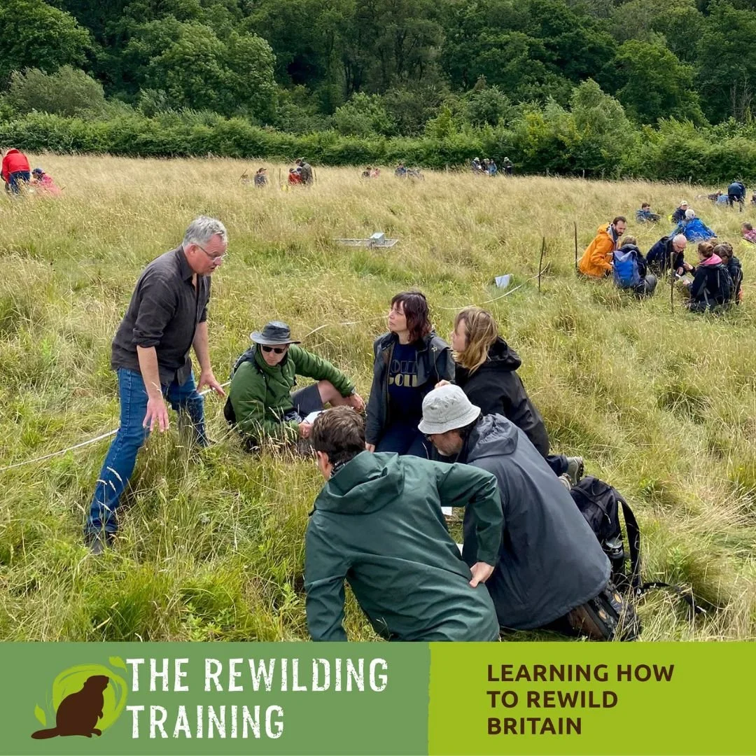 The Rewilding Training 2027 — Embercombe