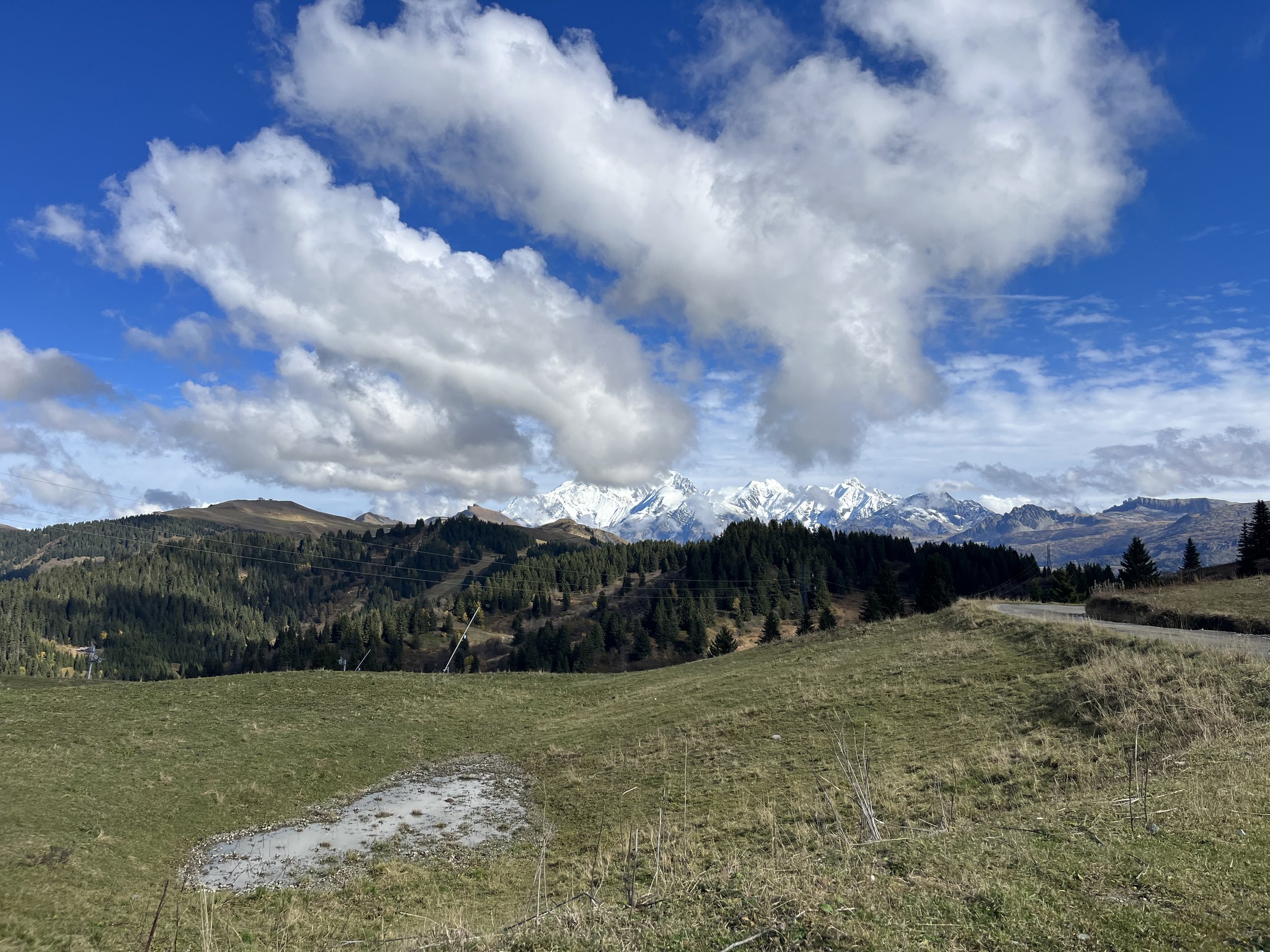 IMG_4499.jpeg