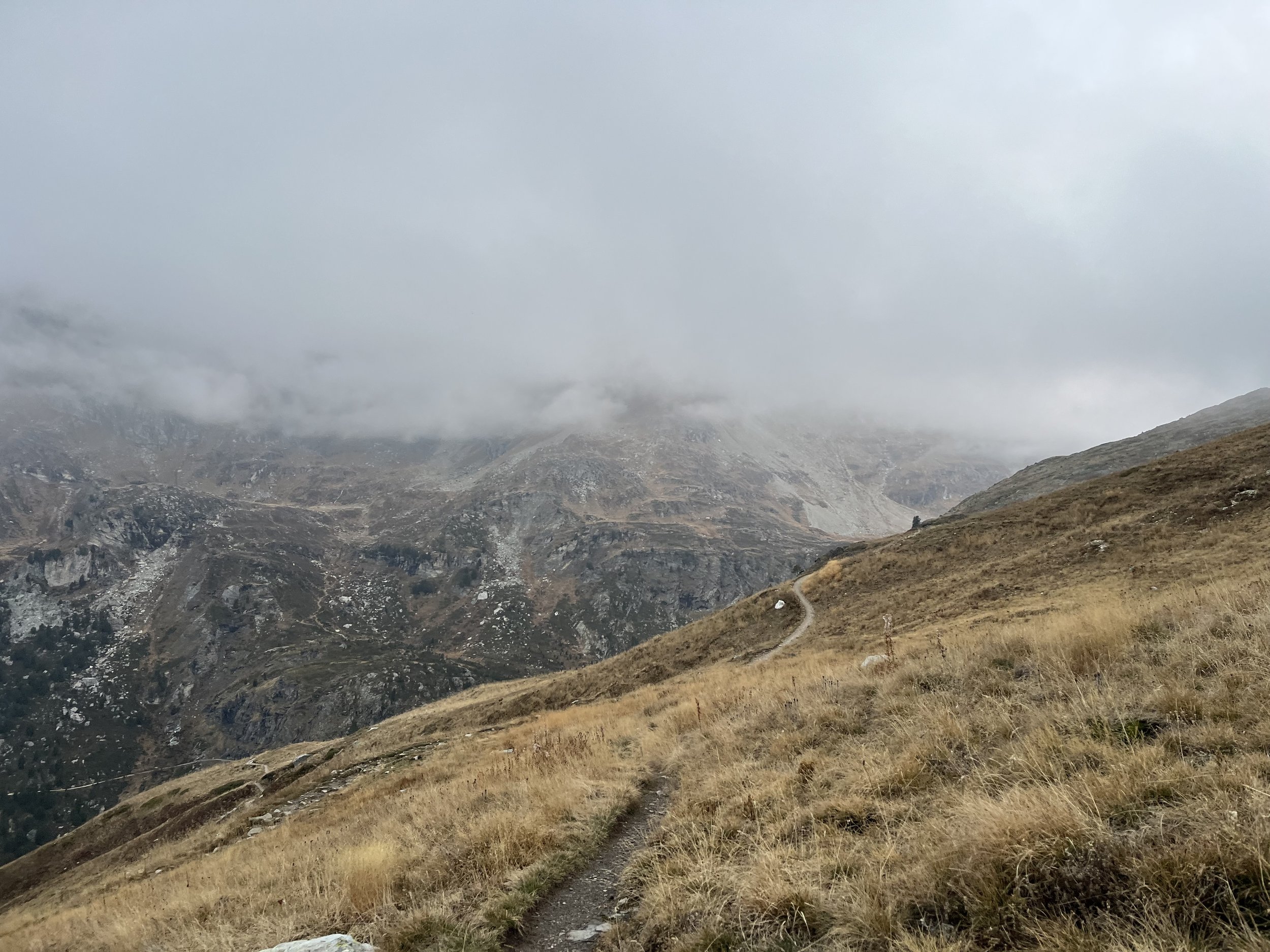 IMG_5063.jpeg