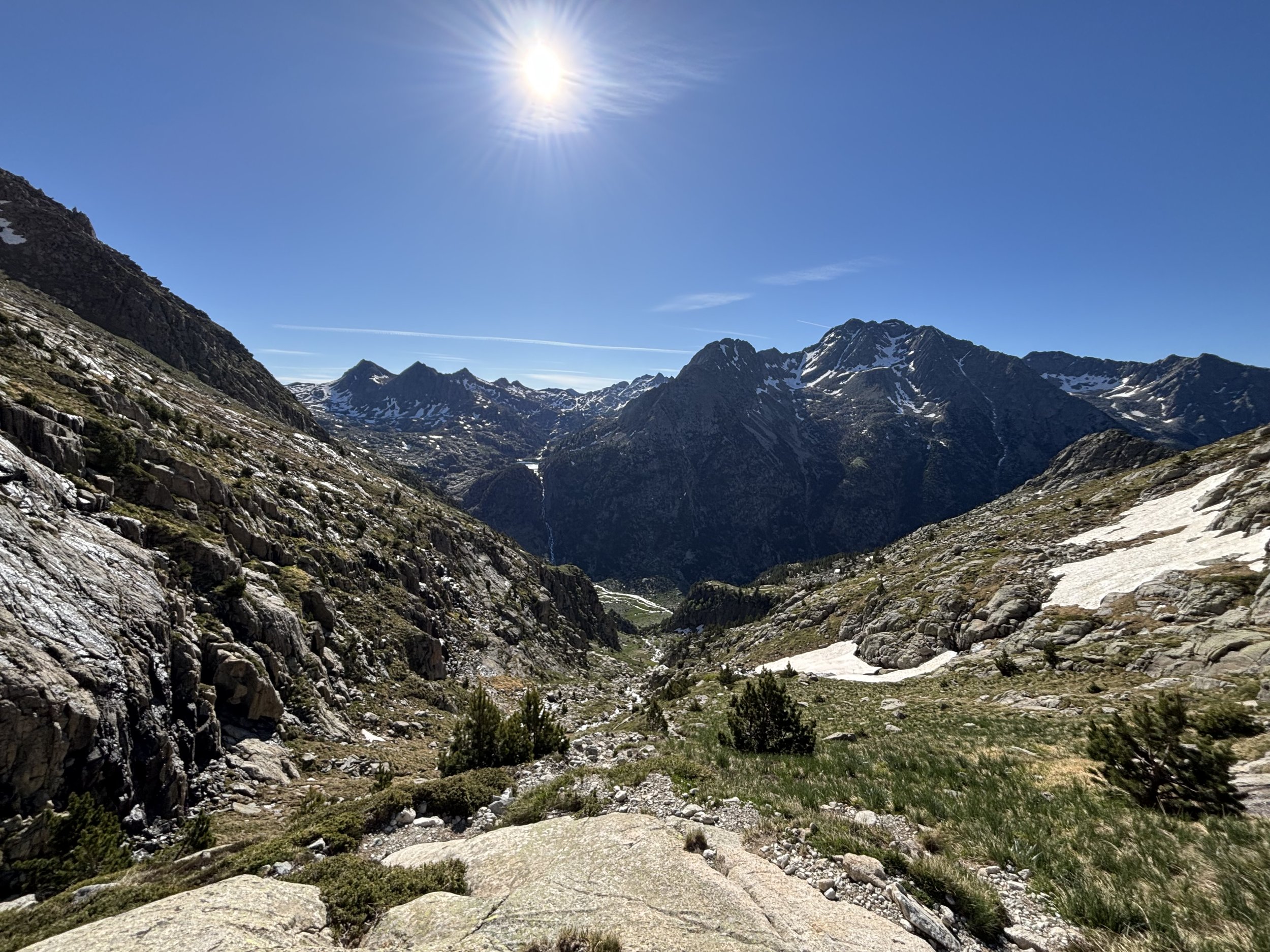 IMG_1487.jpg