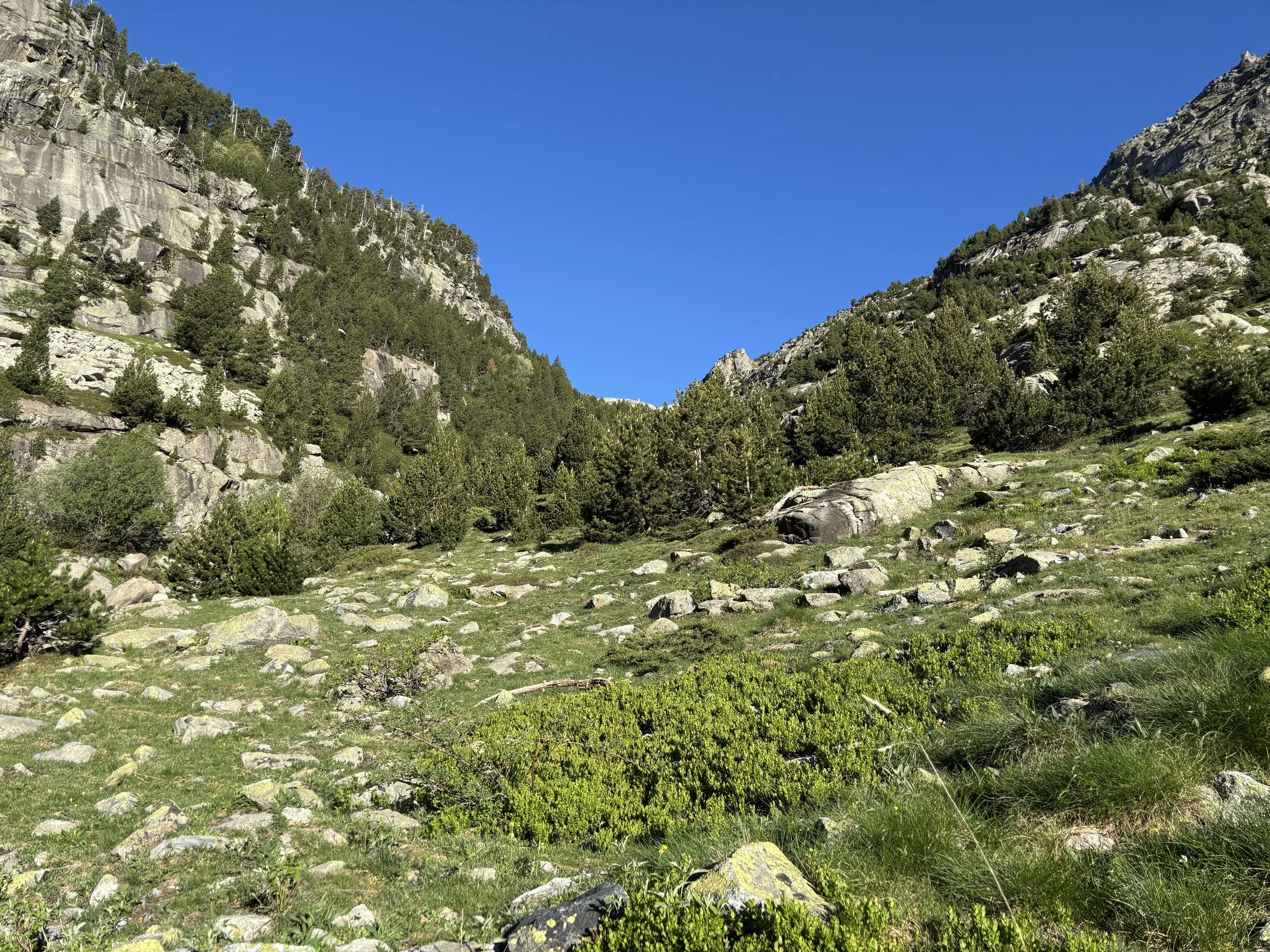 IMG_1481.jpg