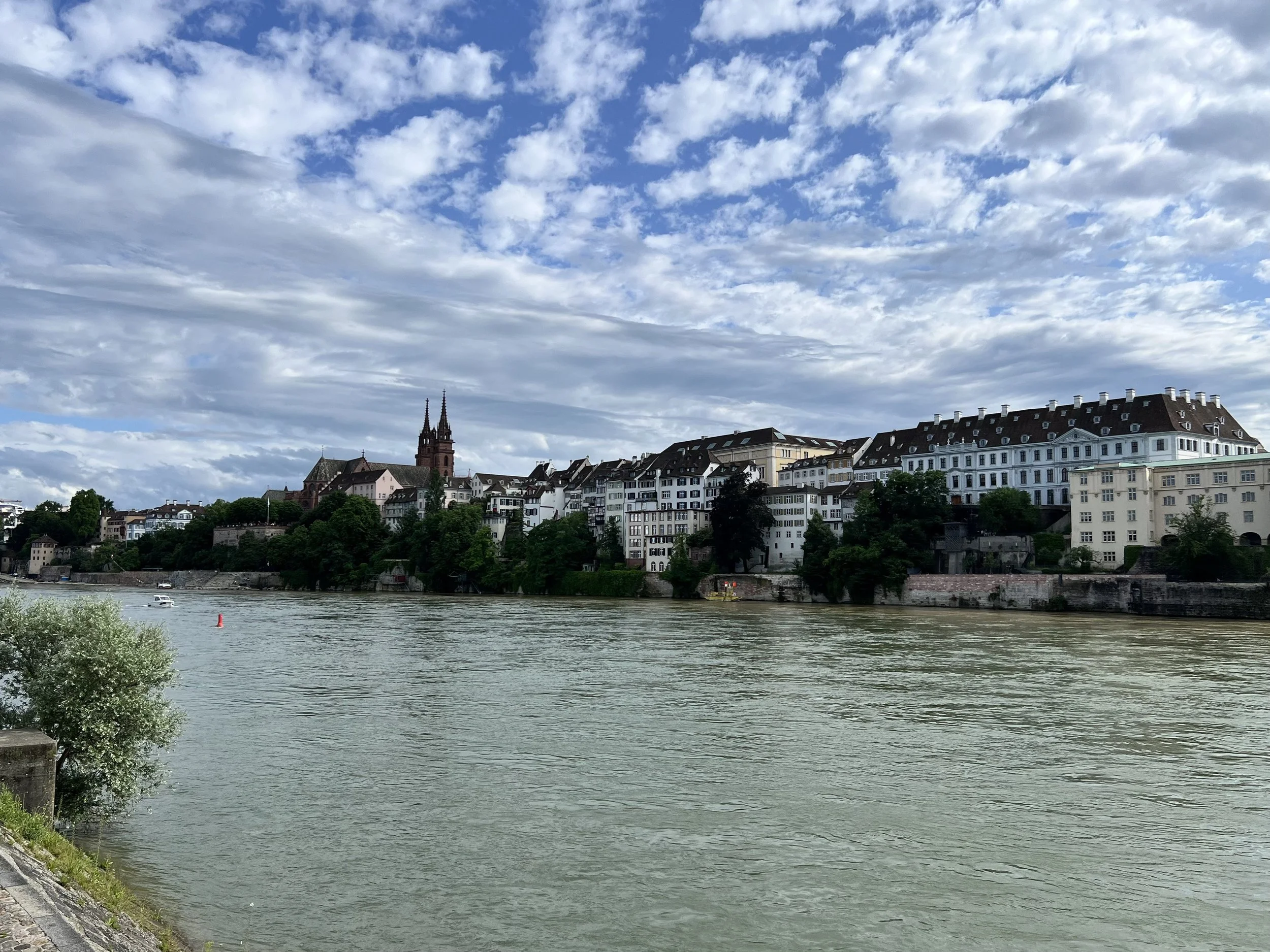 IMG_6456.jpeg