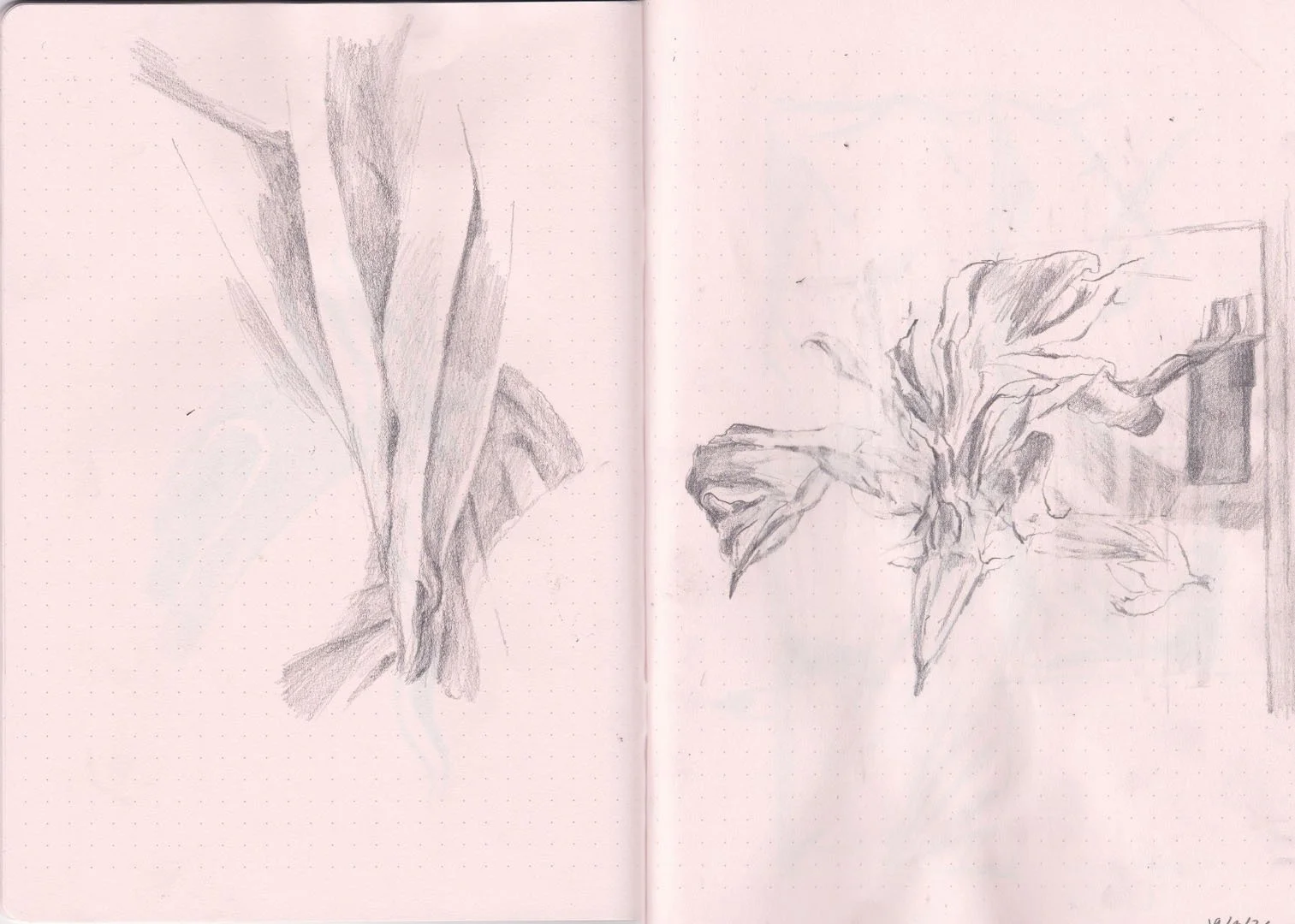 sketchbook-2Artboard 13.jpg
