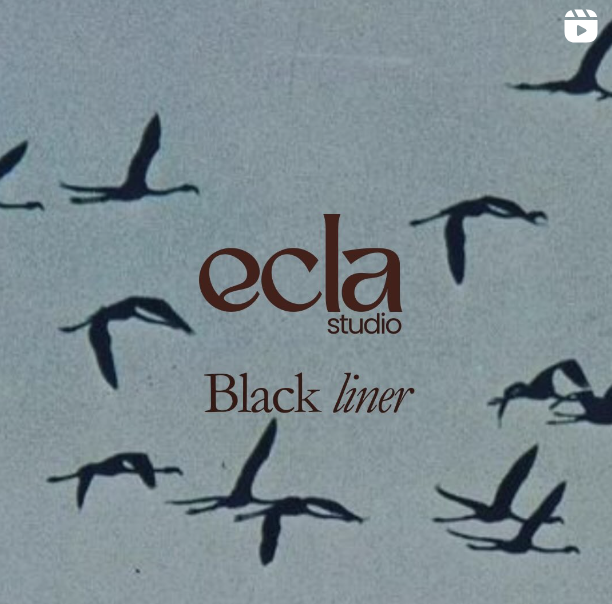 Capture d’écran 2024-05-15 à 16.41.48.png