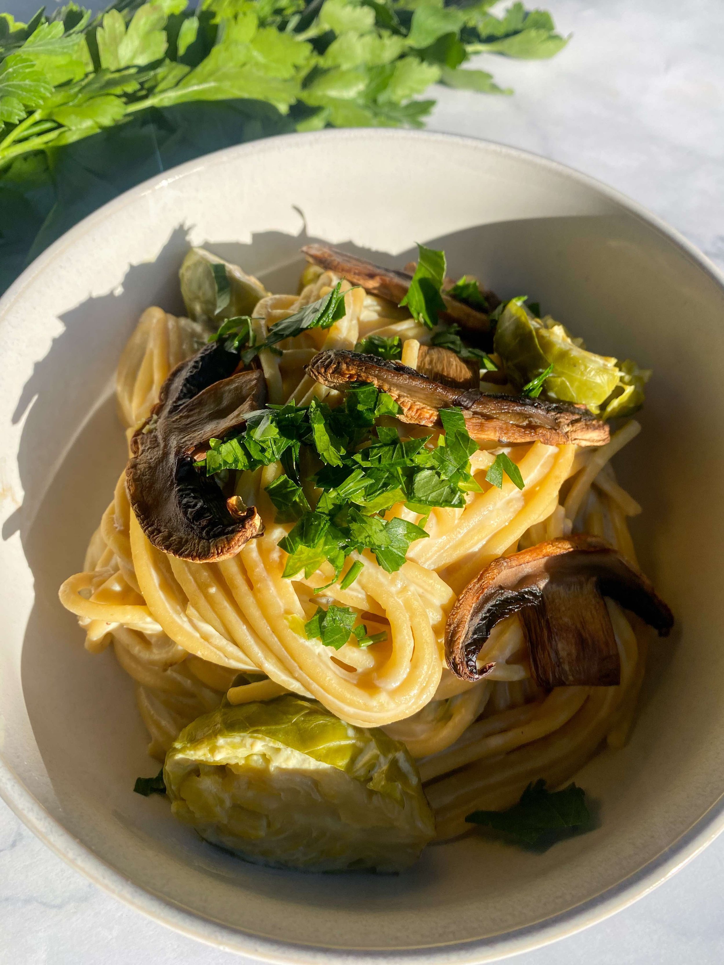 CREAMY MUSHROOM ALFREDO