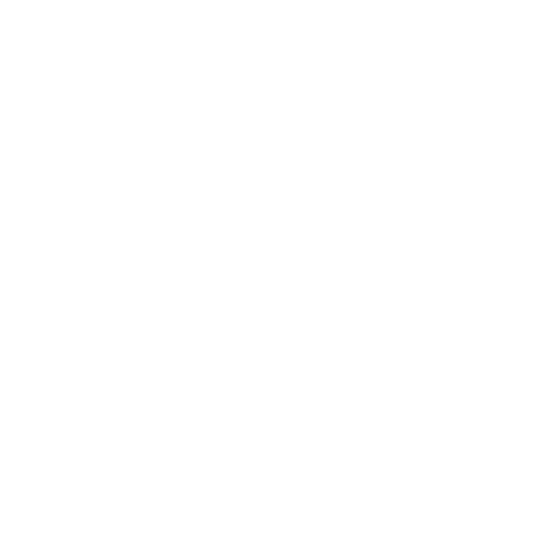 the-literacy-crisis-fulcrum