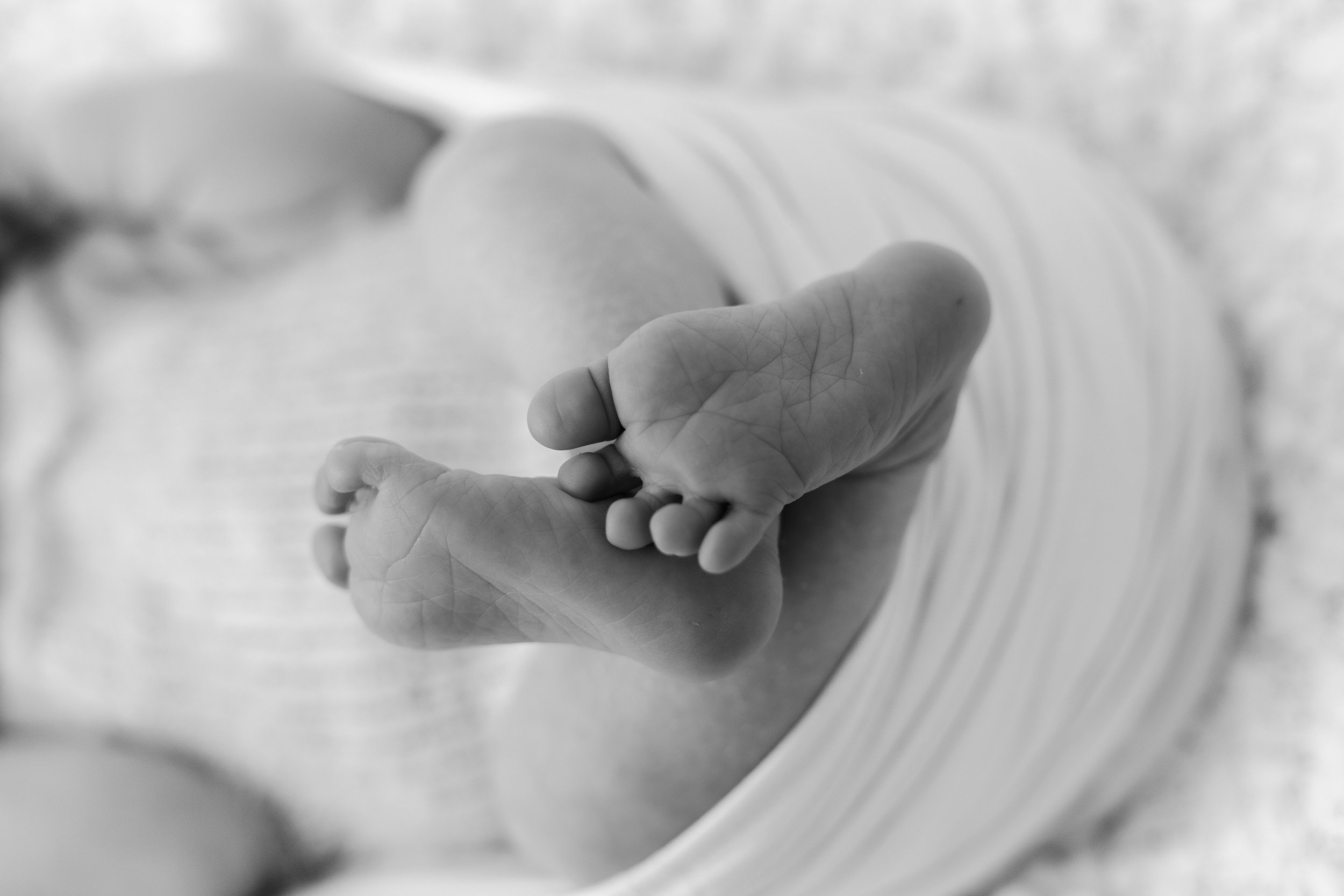 Eric Nicholson Newborn Photos-14.jpg