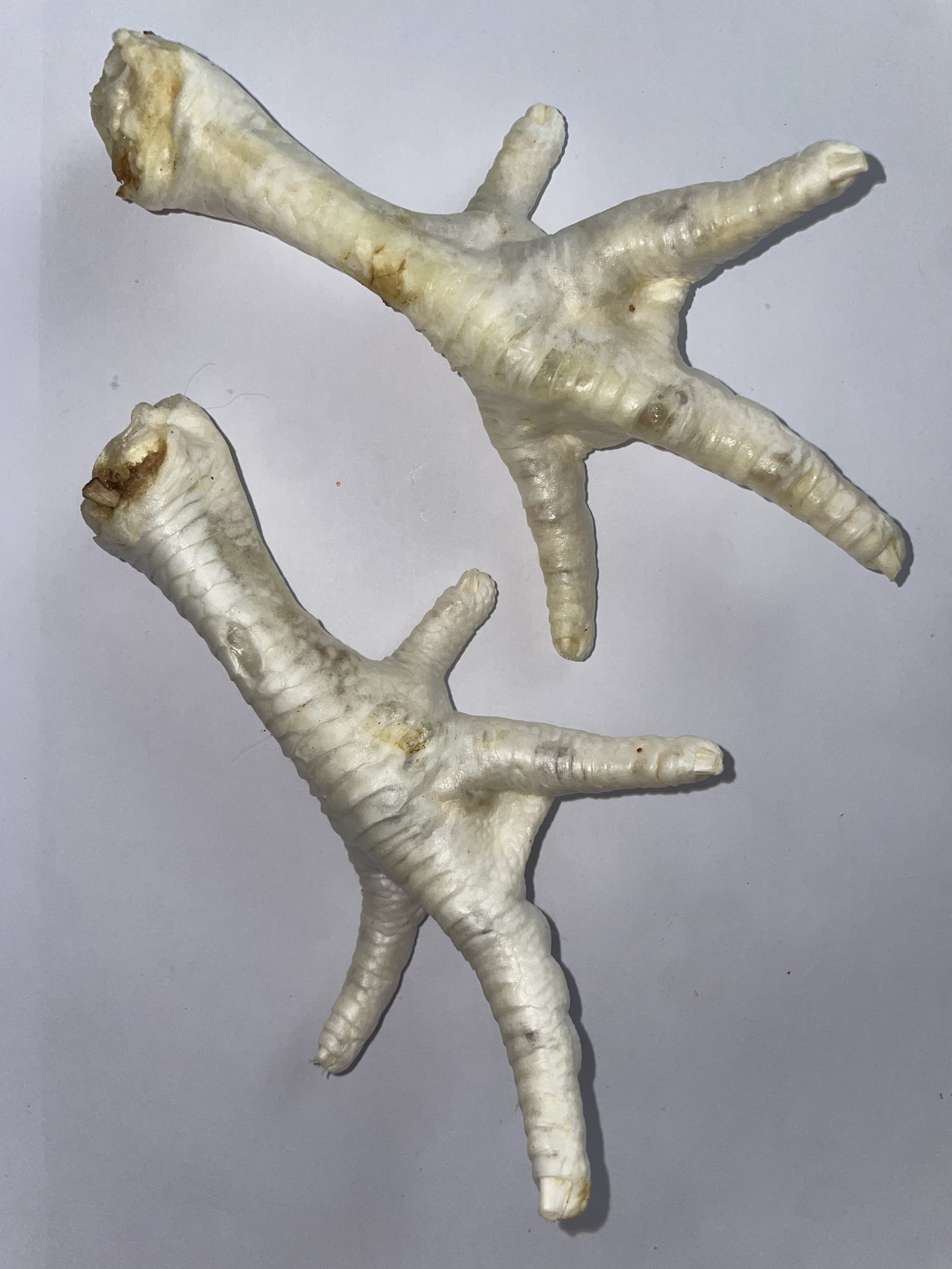 PUFFED CHICKEN FEET 10 PACK