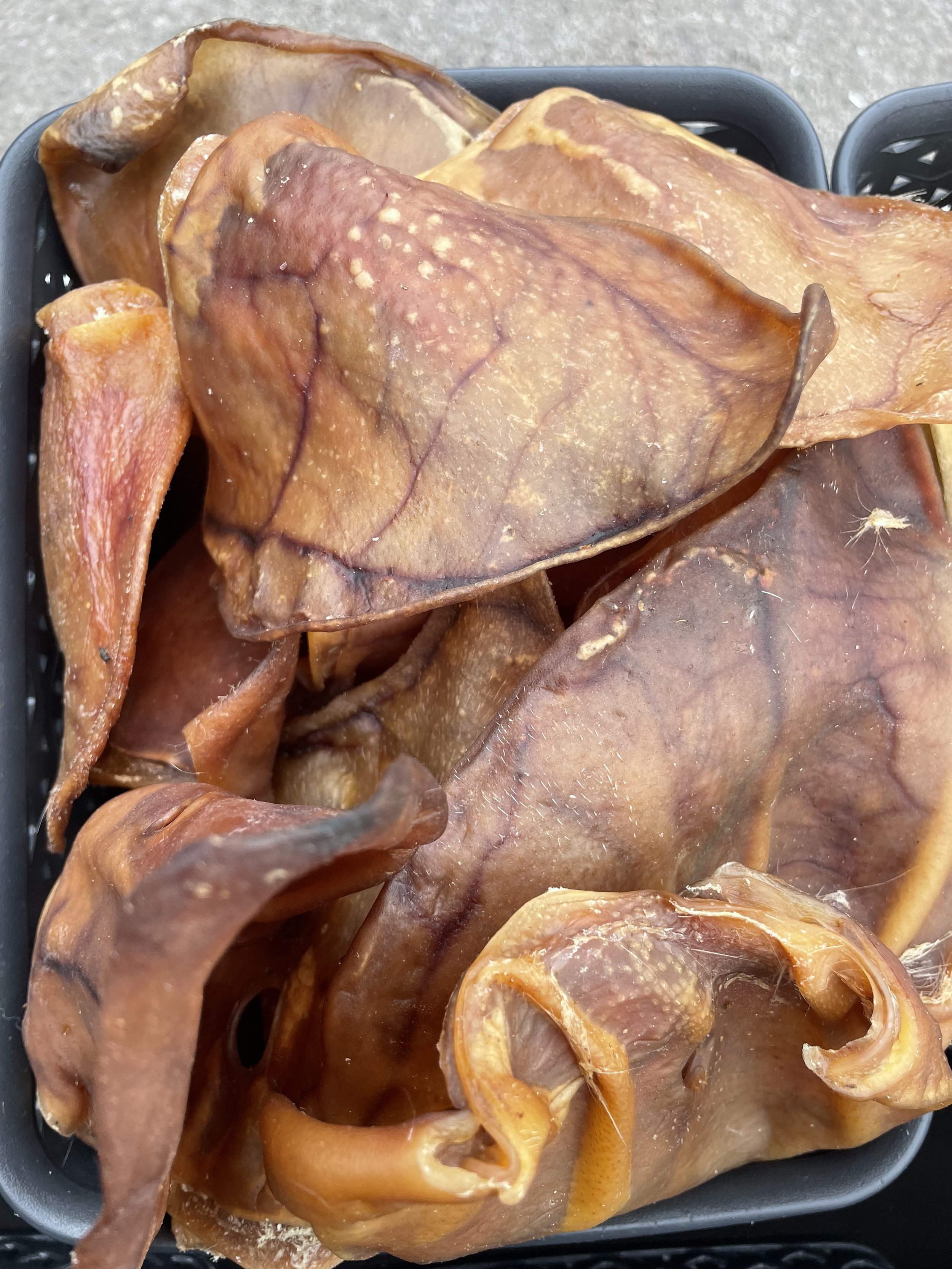 XL PIG EARS