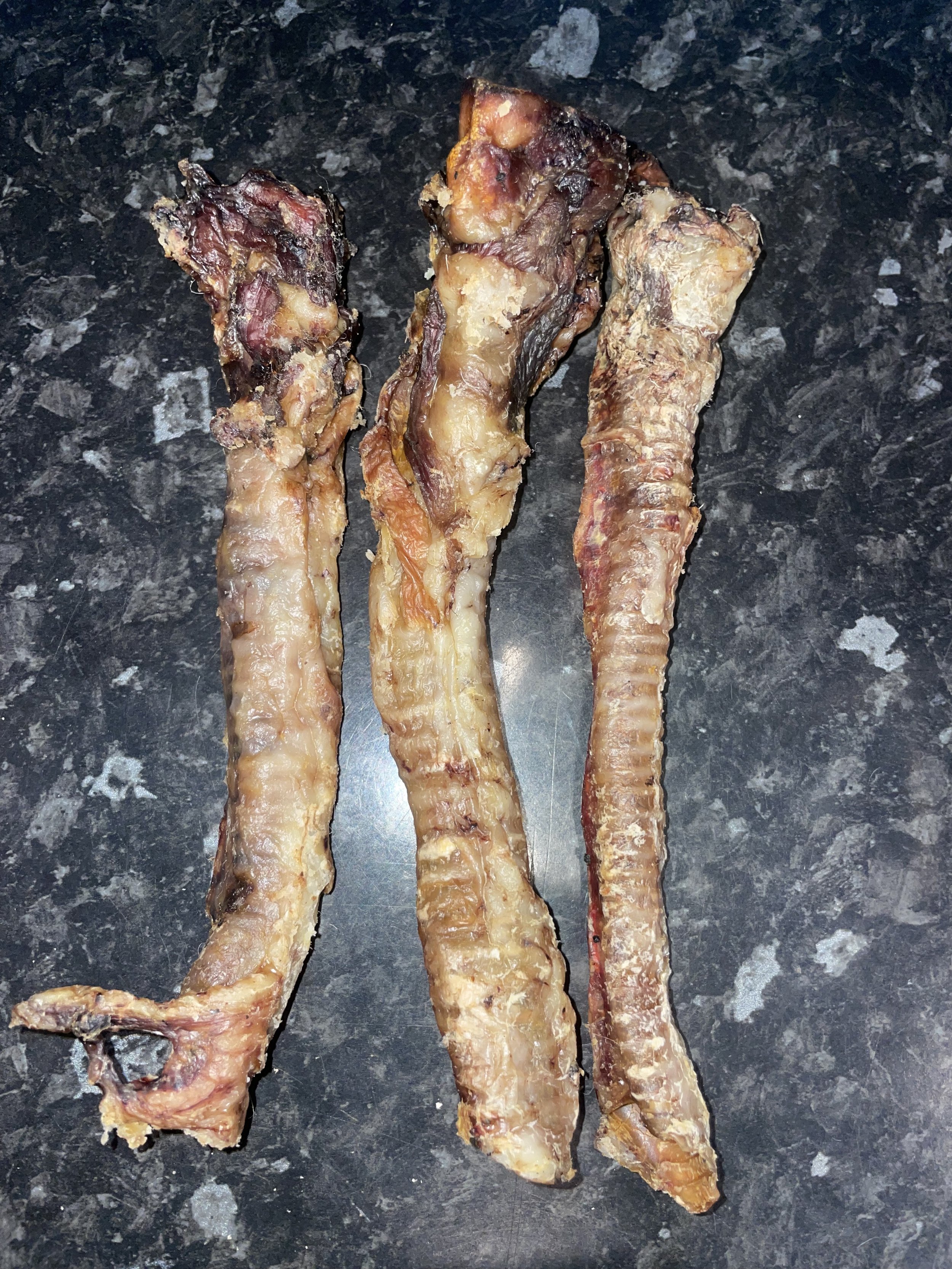 LAMB TRACHEAS