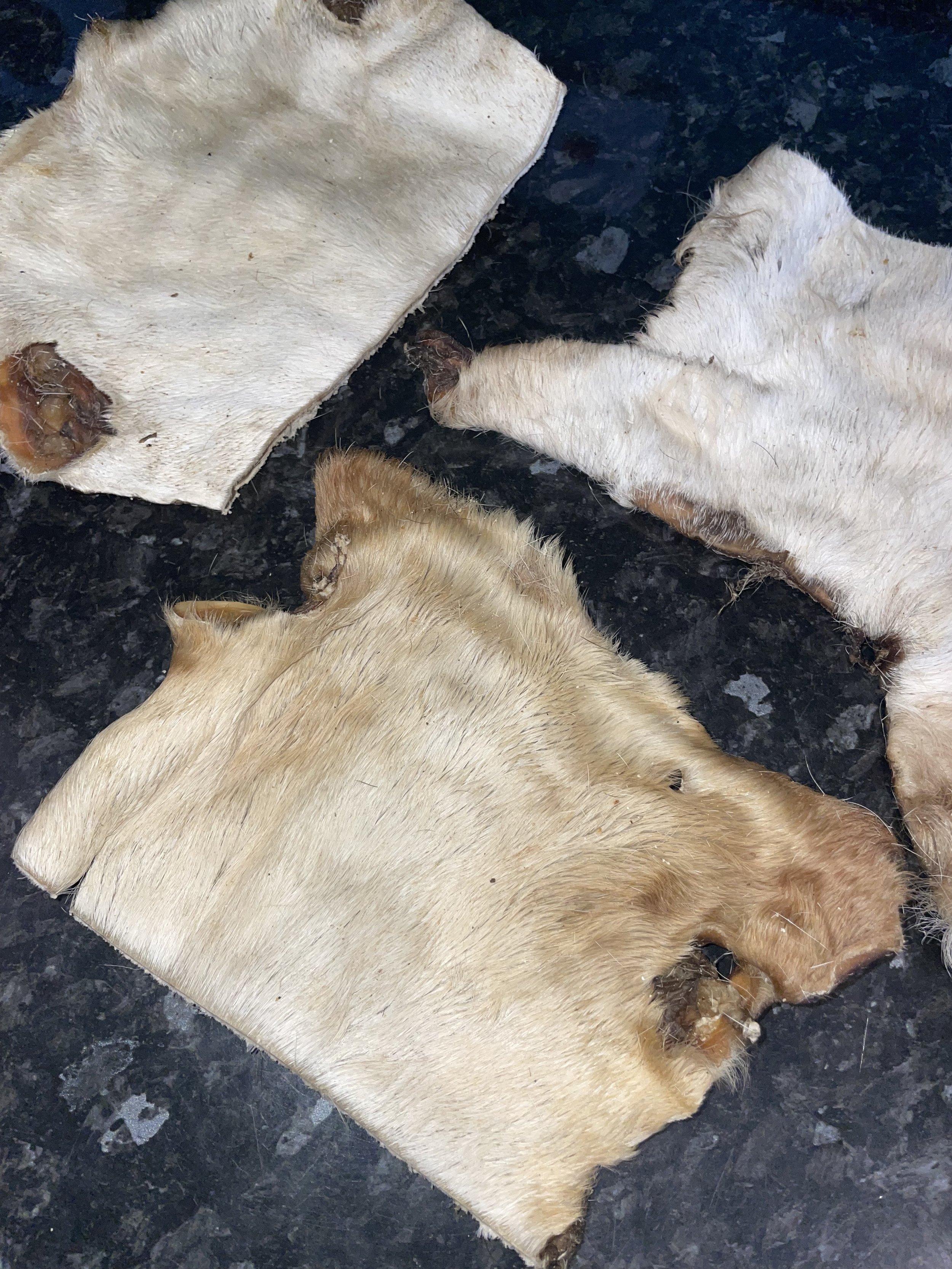 HAIRY BEEF BARK