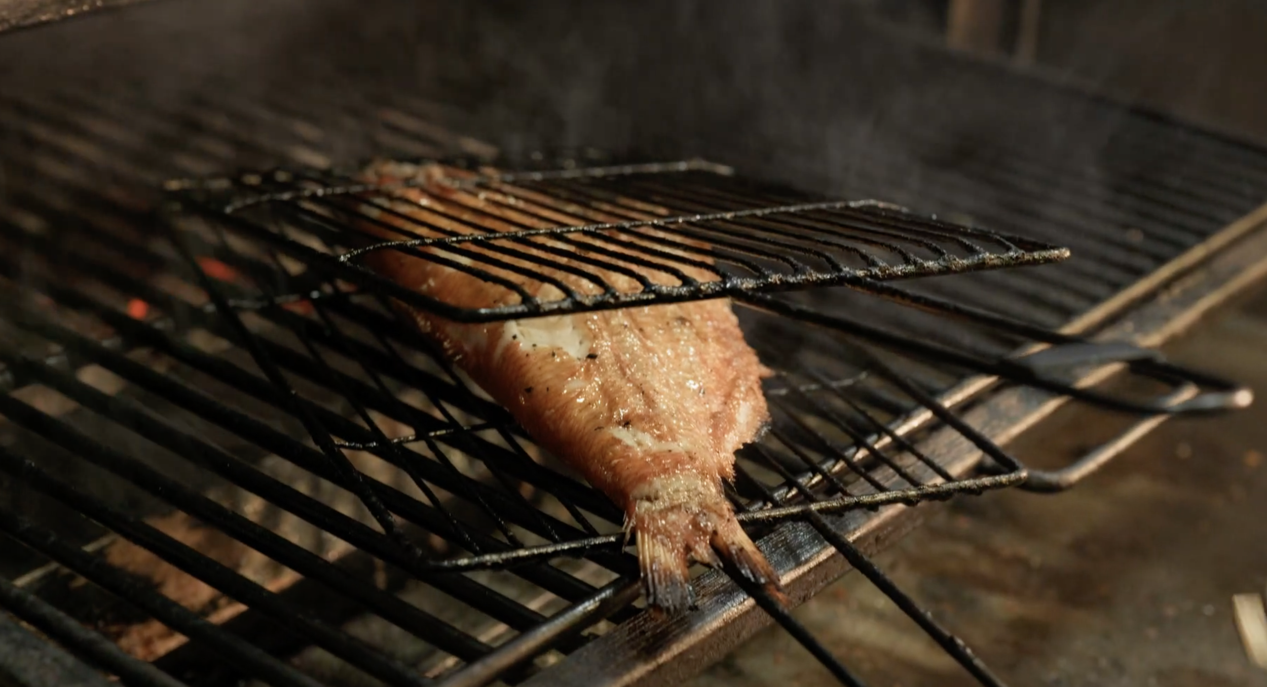 rey parrilla.png