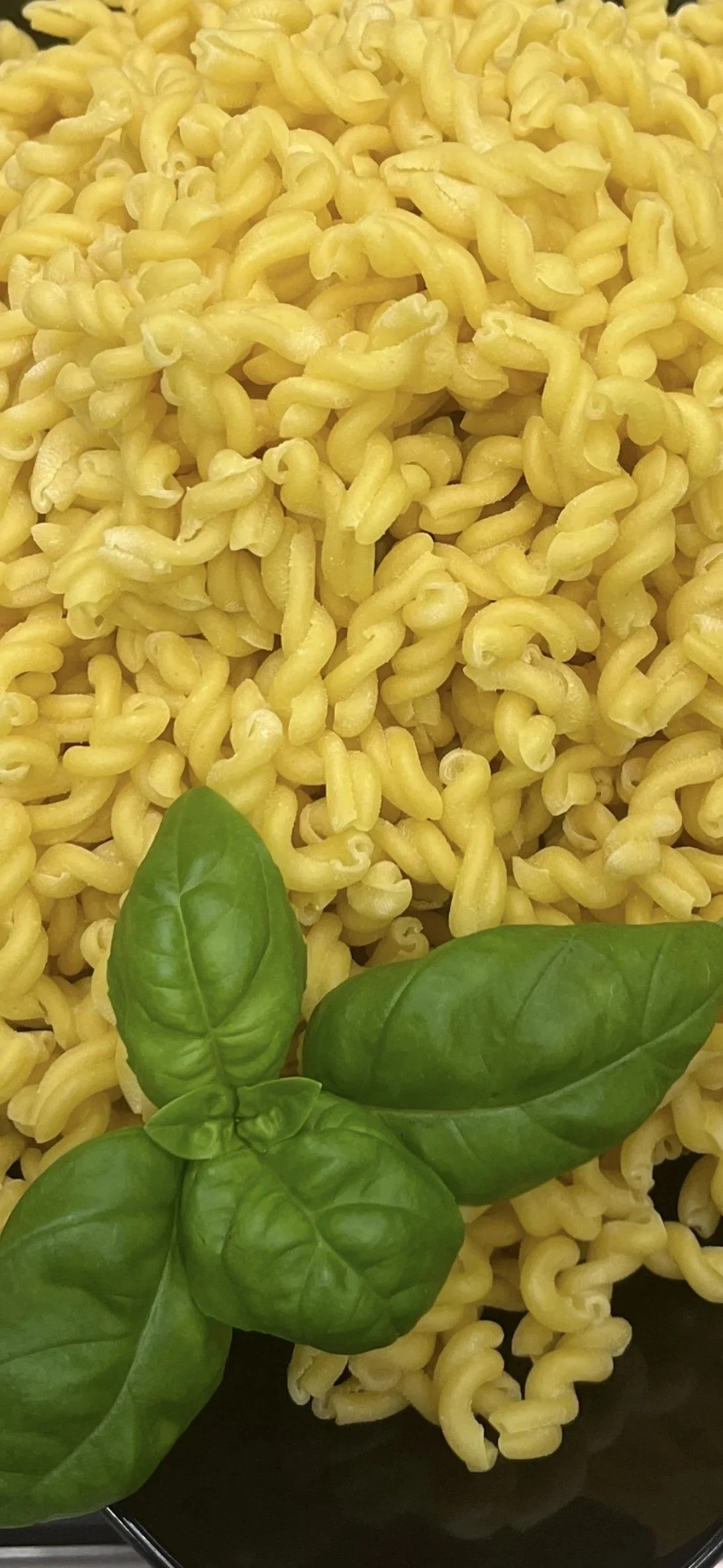 A close-up of cooked rotini pasta garnished with fresh basil leaves.