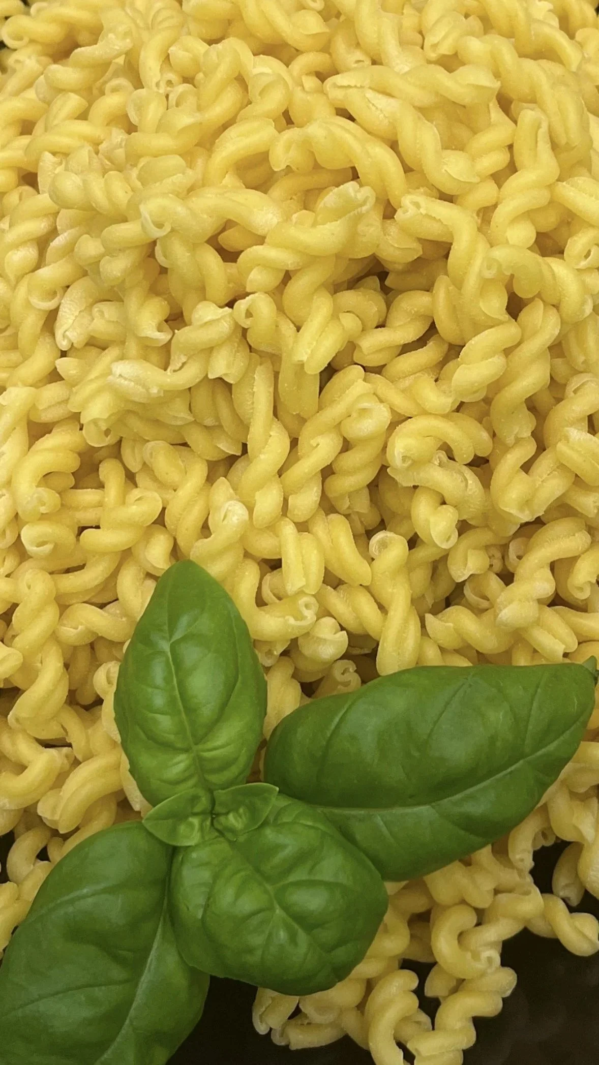 A bunch of curly yellow pasta with fresh green basil leaves on top.