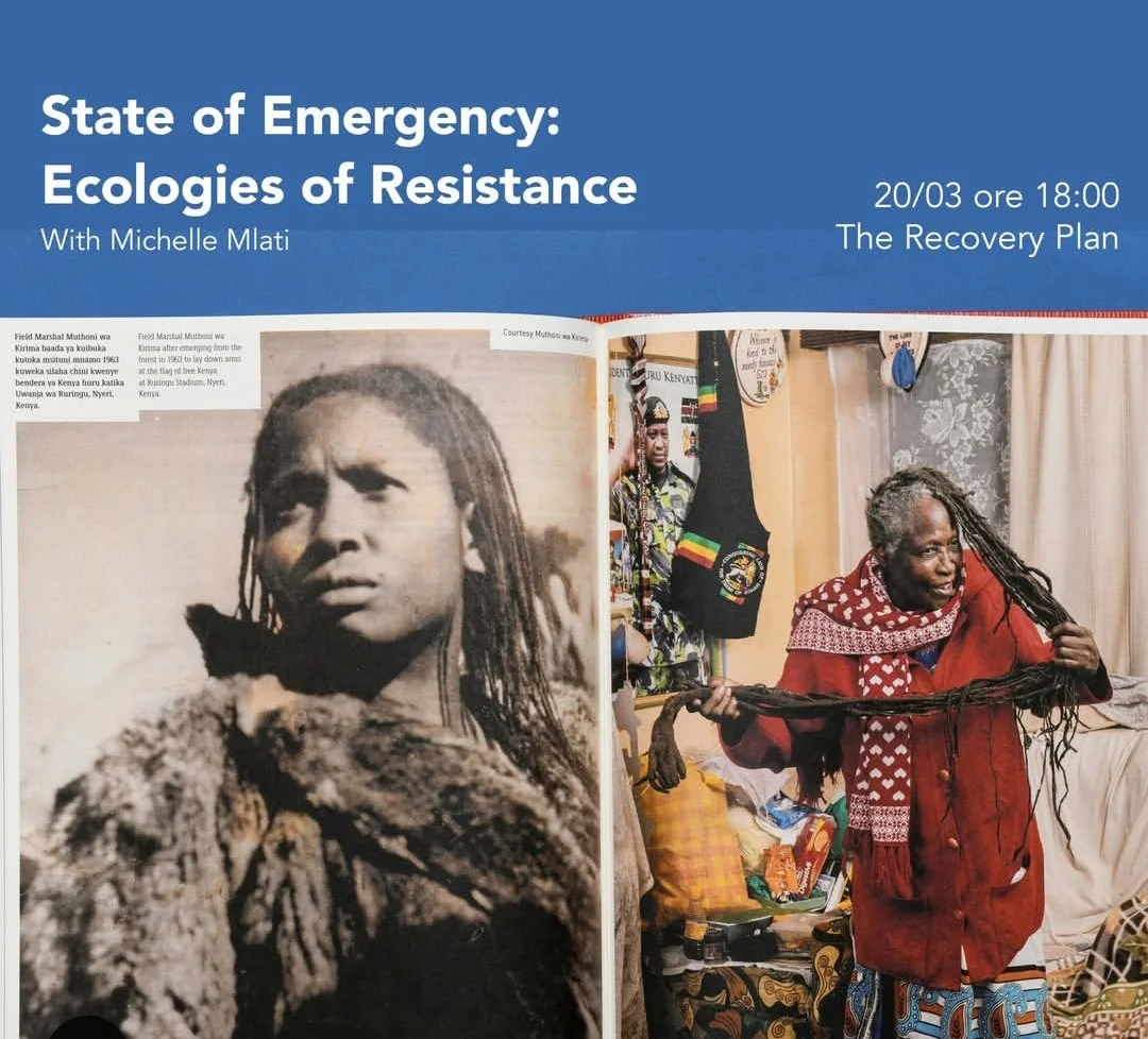 State of Emergency: Ecologies of Resistance A talk with curator Michelle Mlati 