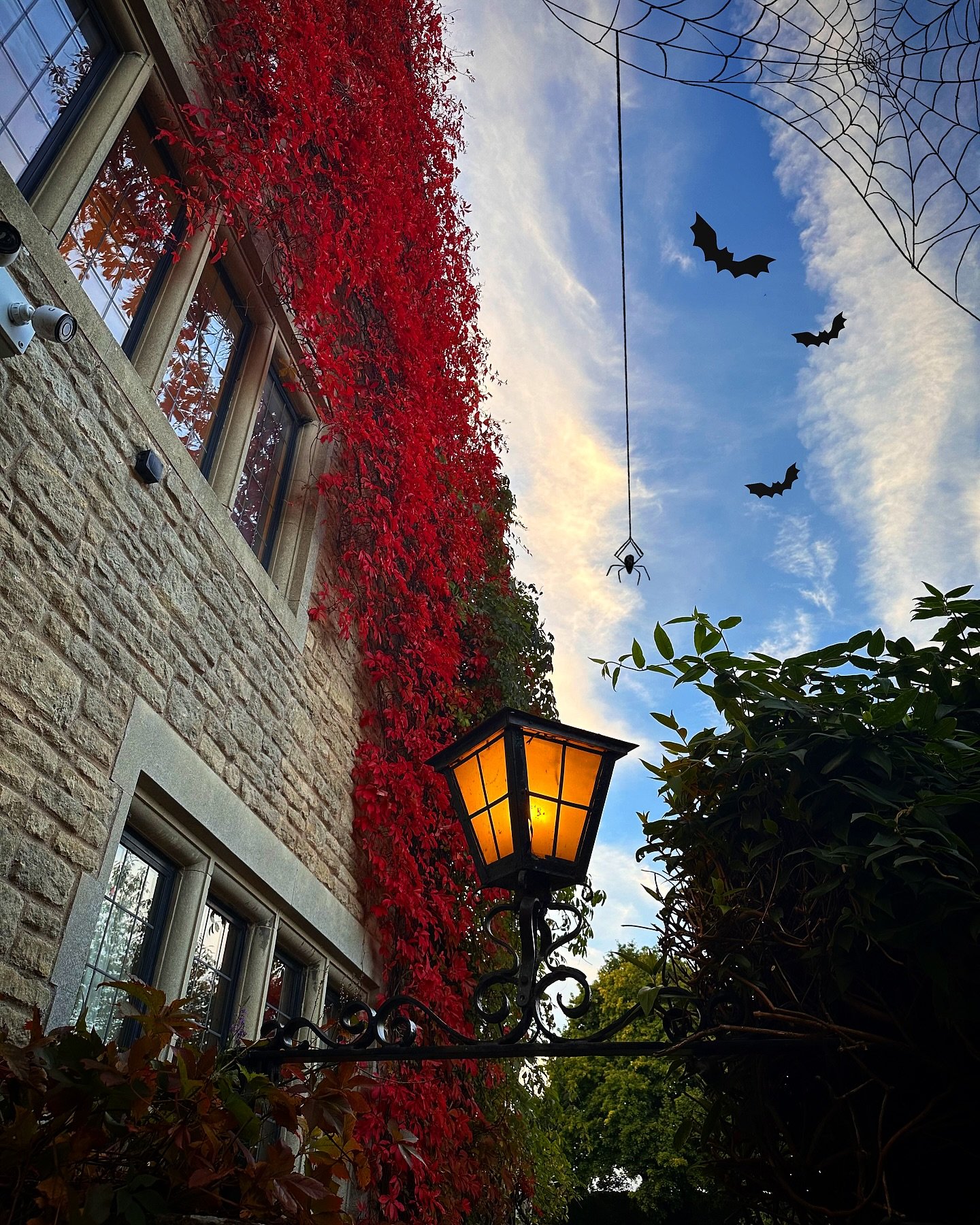 Happy Halloweeeeen from us at Fosseberry House 🎃 

With grand dining and lovely colourful autumn leaves, it&rsquo;s the perfect escape for a Halloween party or get together 🕷️🕸️👻 and don&rsquo;t worry we don&rsquo;t really have spiders or bats🦇 